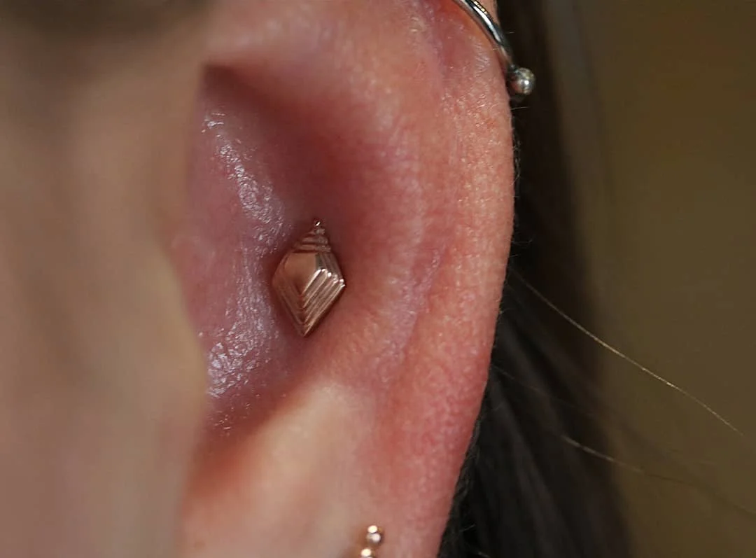 Rose Gold Conch