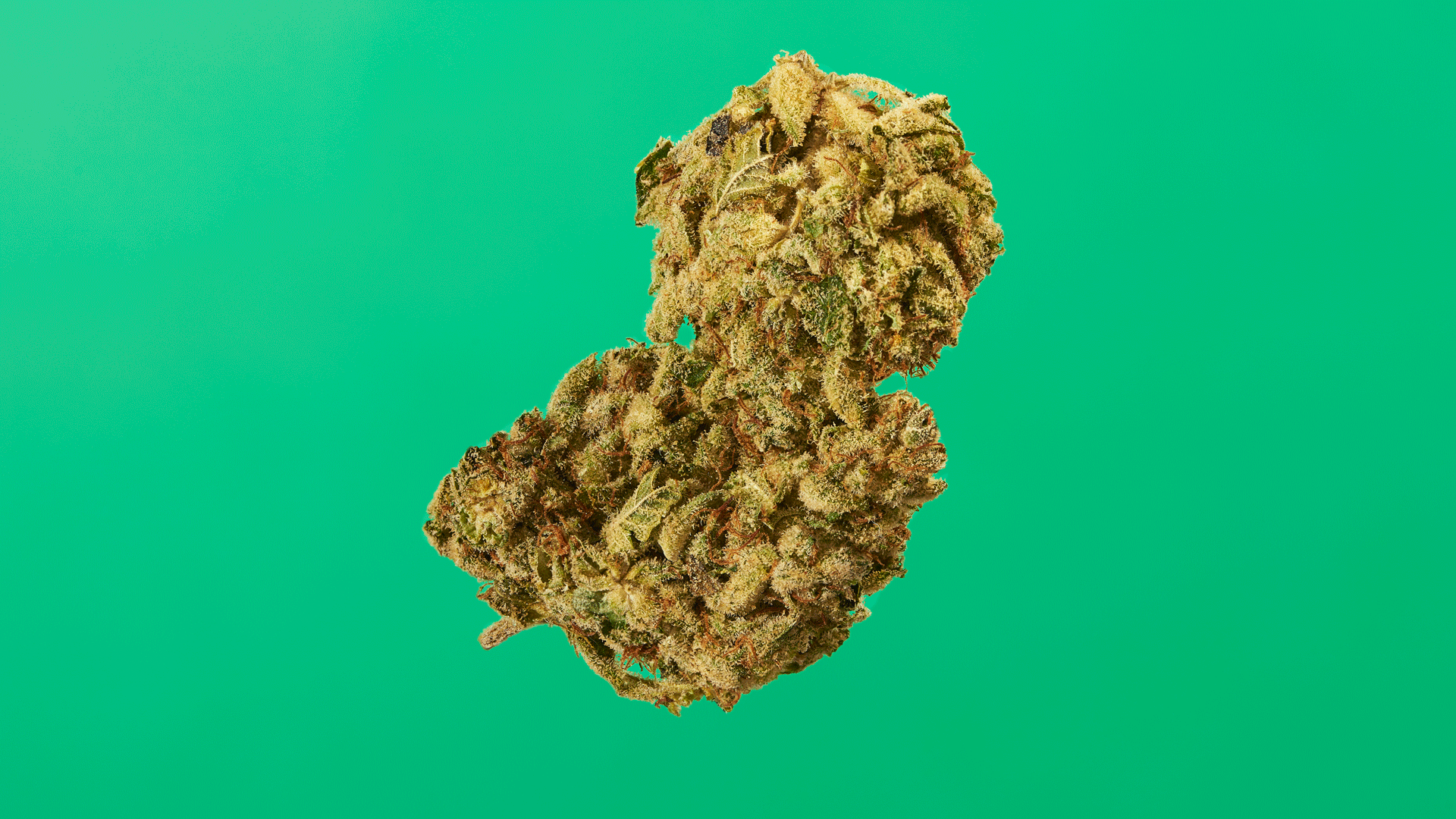 WeedSpinOne.gif
