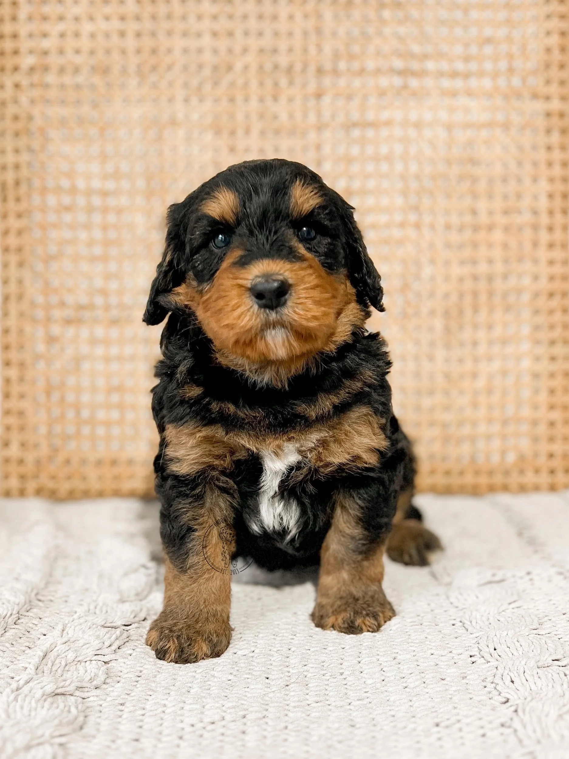 eZy Watermark_09-03-2024_07-46-49-6980AM.jpeg