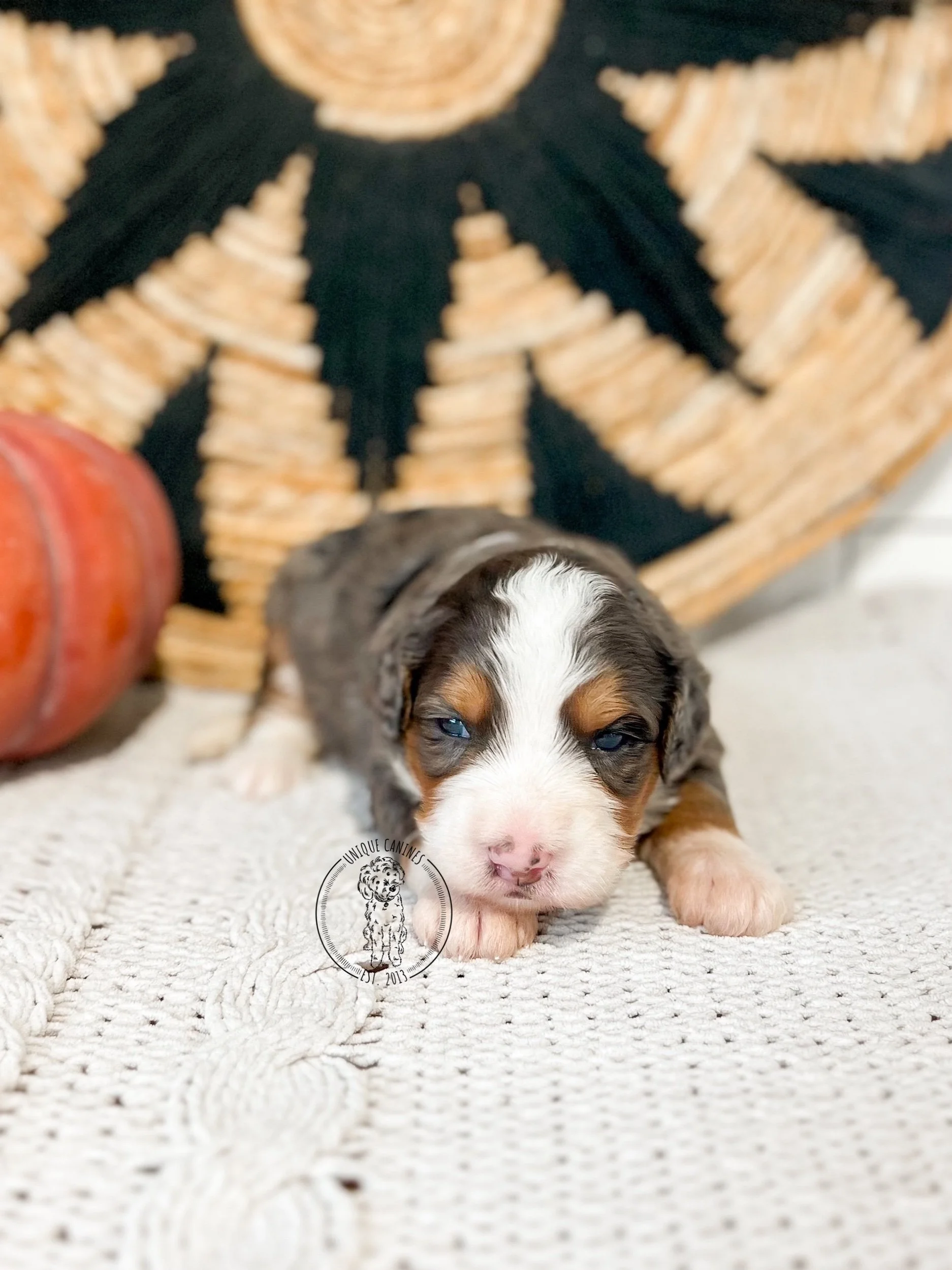 eZy Watermark_19-09-2025_12-40-12-1940PM.jpeg