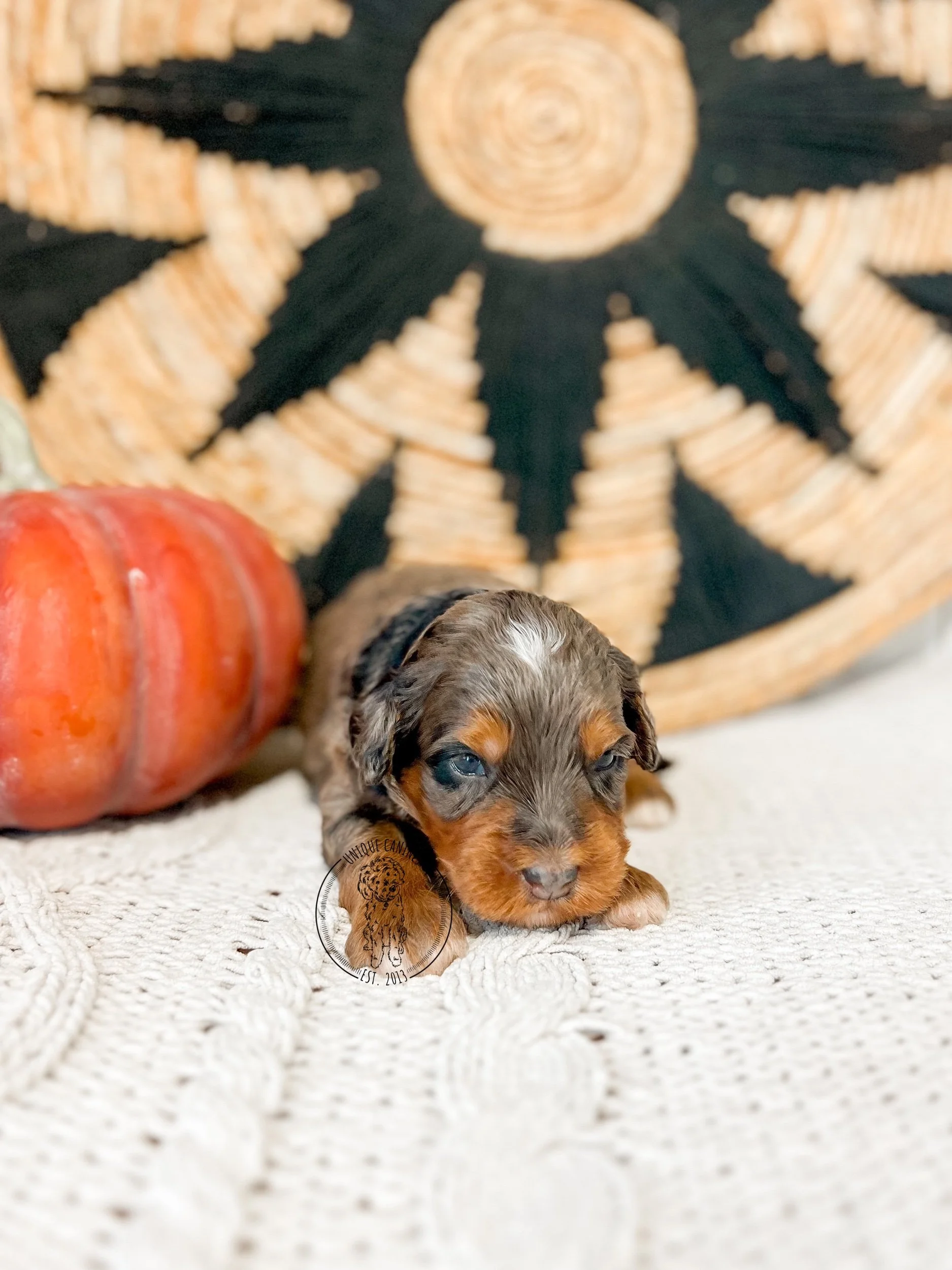 eZy Watermark_19-09-2025_12-40-13-1440PM.jpeg