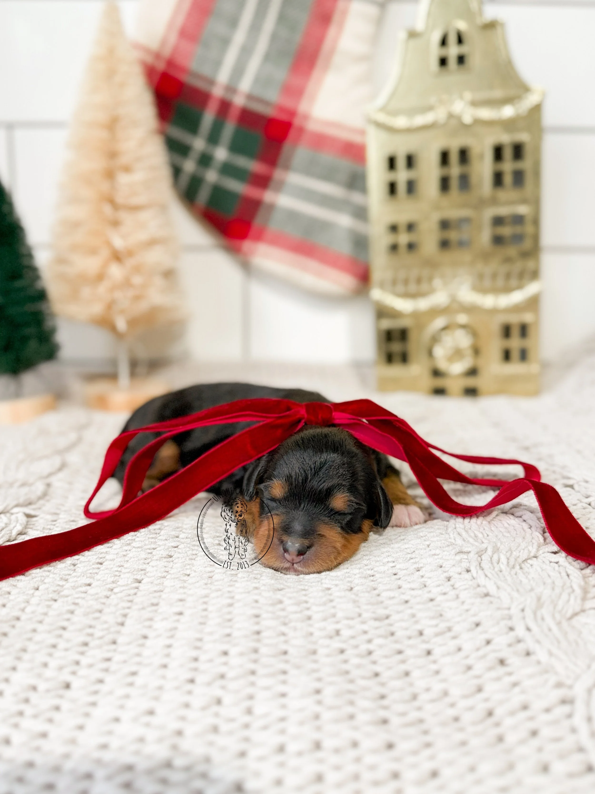 eZy Watermark_31-10-2025_05-45-50-8040PM.JPG