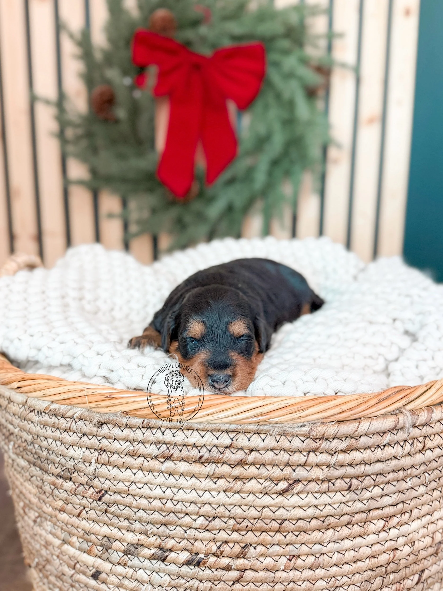 eZy Watermark_10-11-2025_09-46-21-0590PM.jpeg