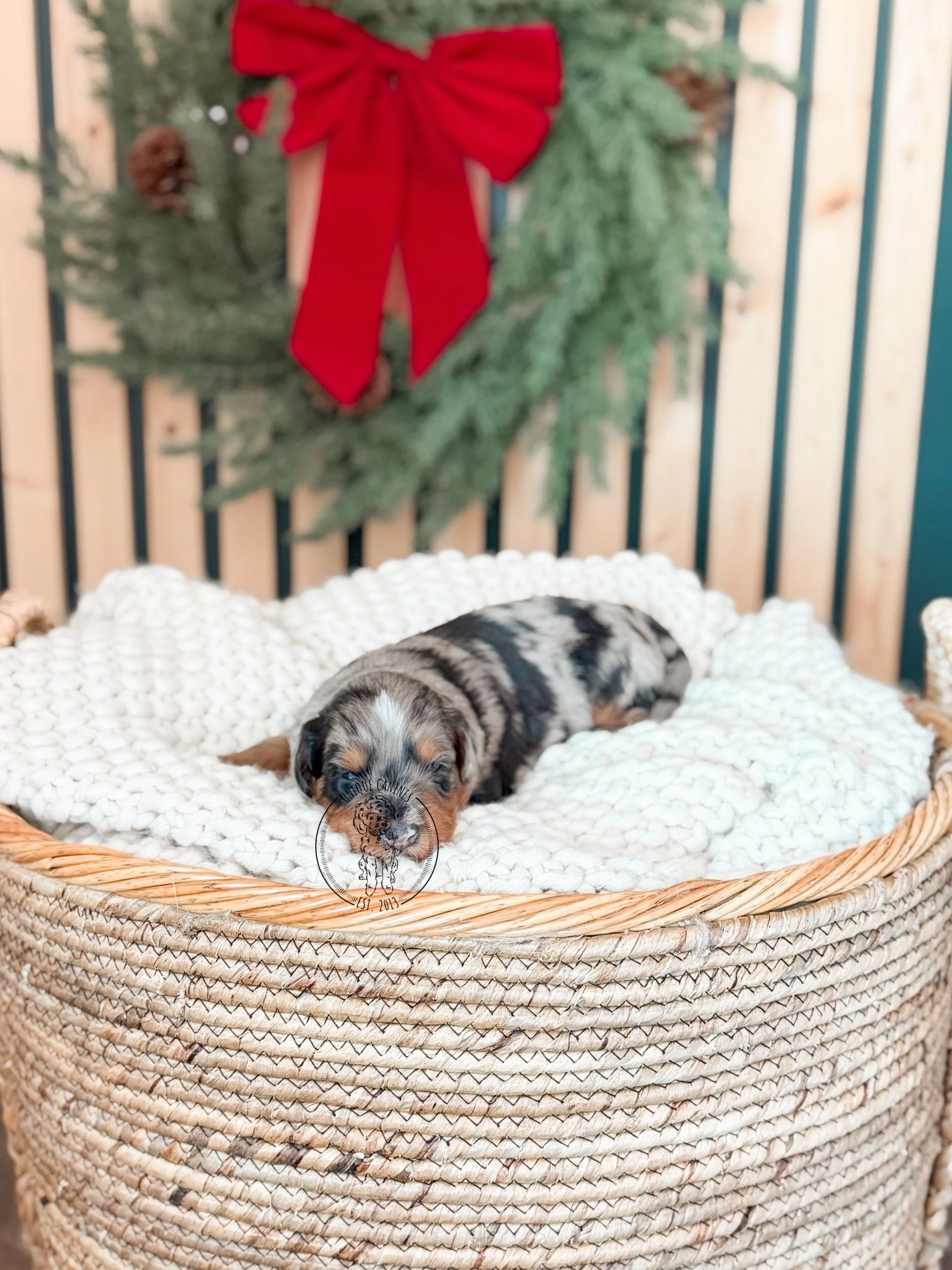 eZy Watermark_10-11-2025_09-46-21-4380PM.jpeg