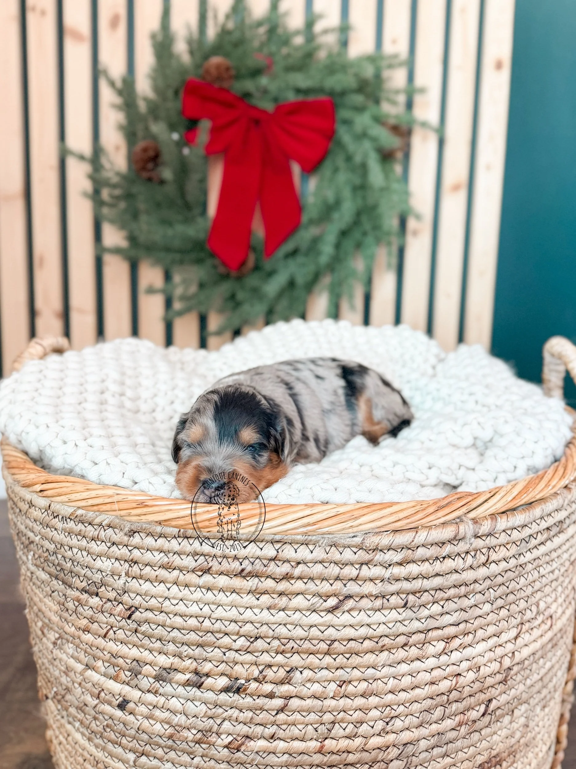 eZy Watermark_10-11-2025_09-46-21-6430PM.jpeg