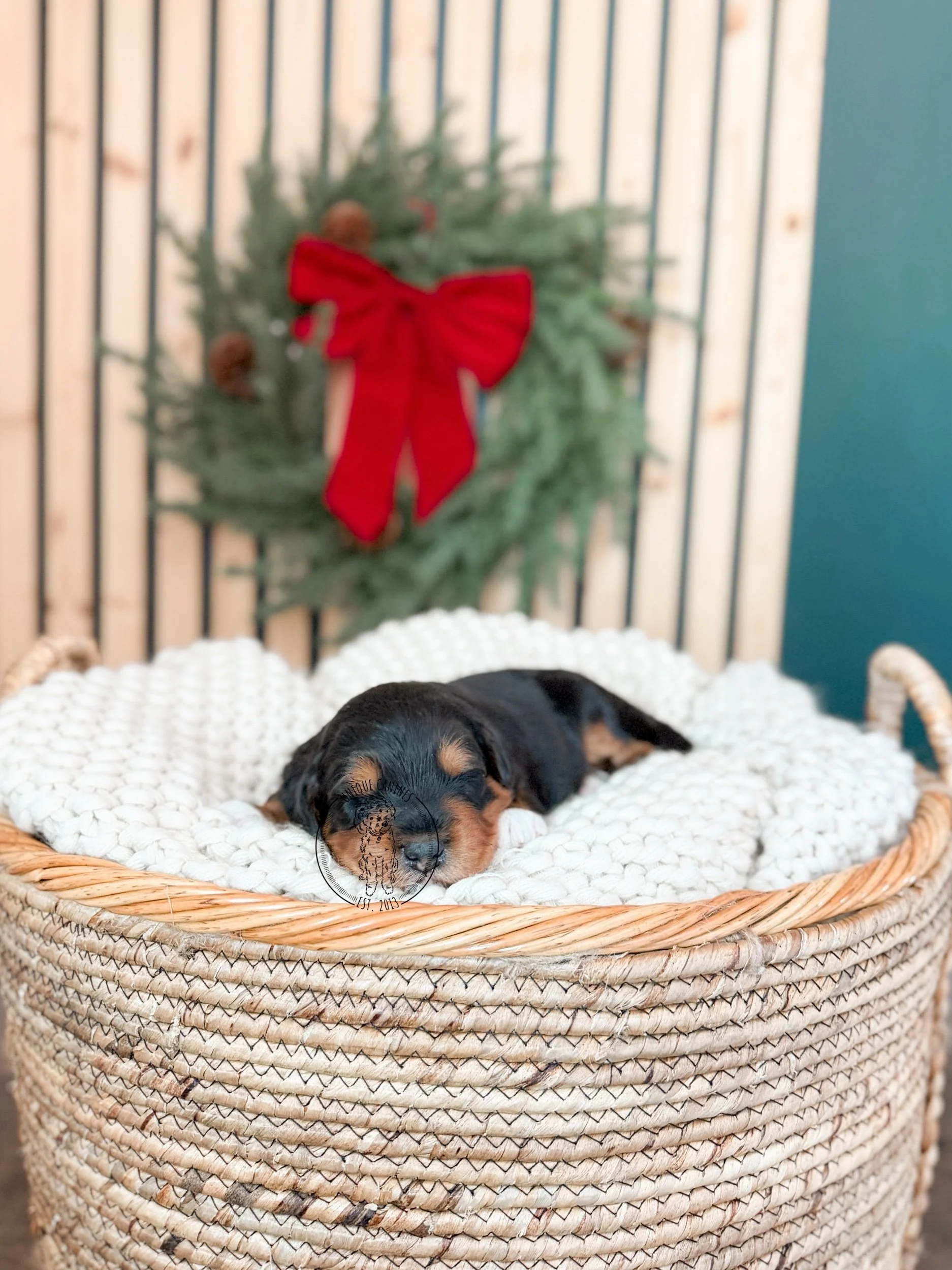 eZy Watermark_10-11-2025_09-46-22-2960PM.jpeg