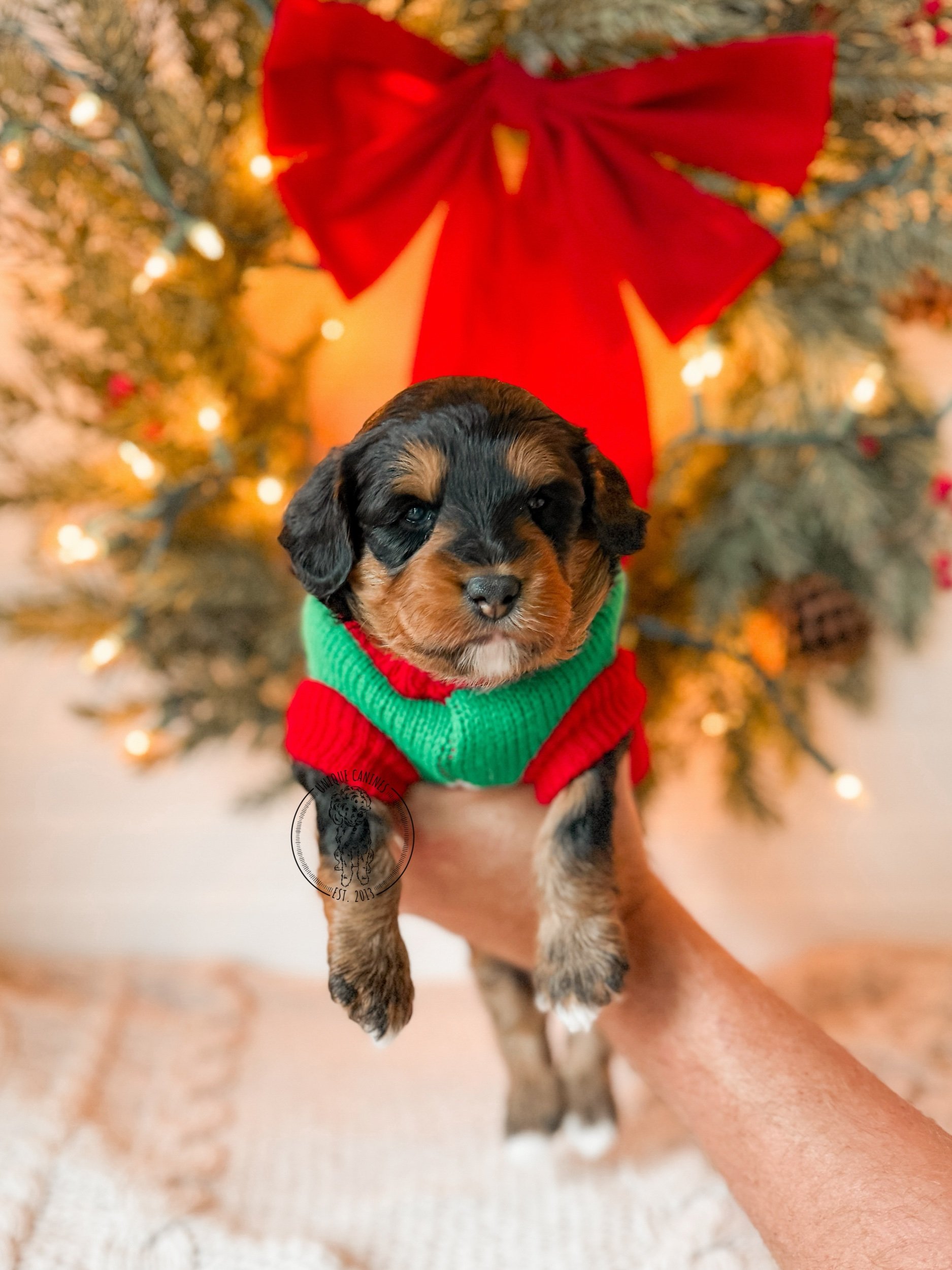 eZy Watermark_20-11-2025_12-41-55-1830PM.jpeg