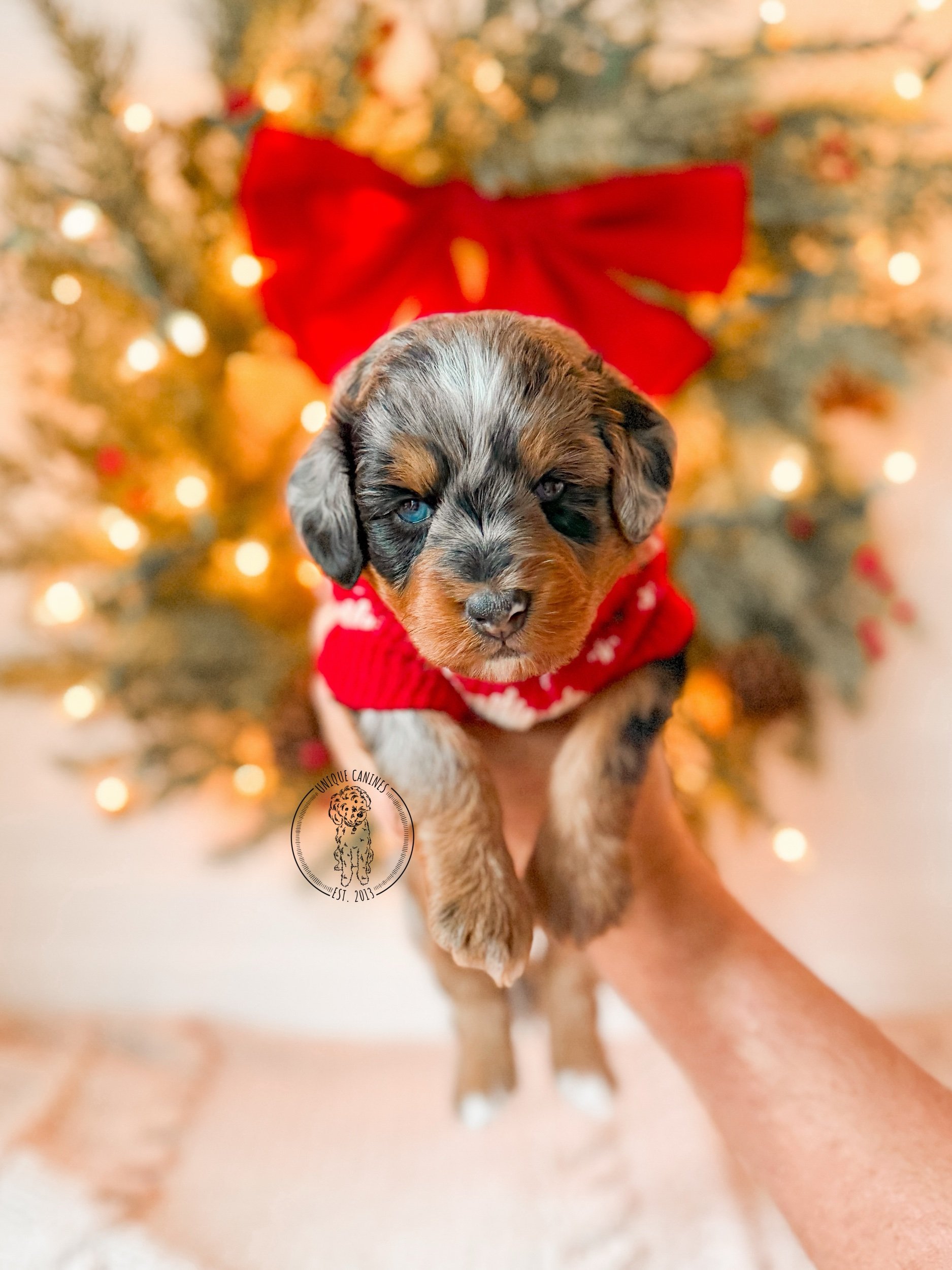 eZy Watermark_20-11-2025_12-41-54-9940PM.jpeg