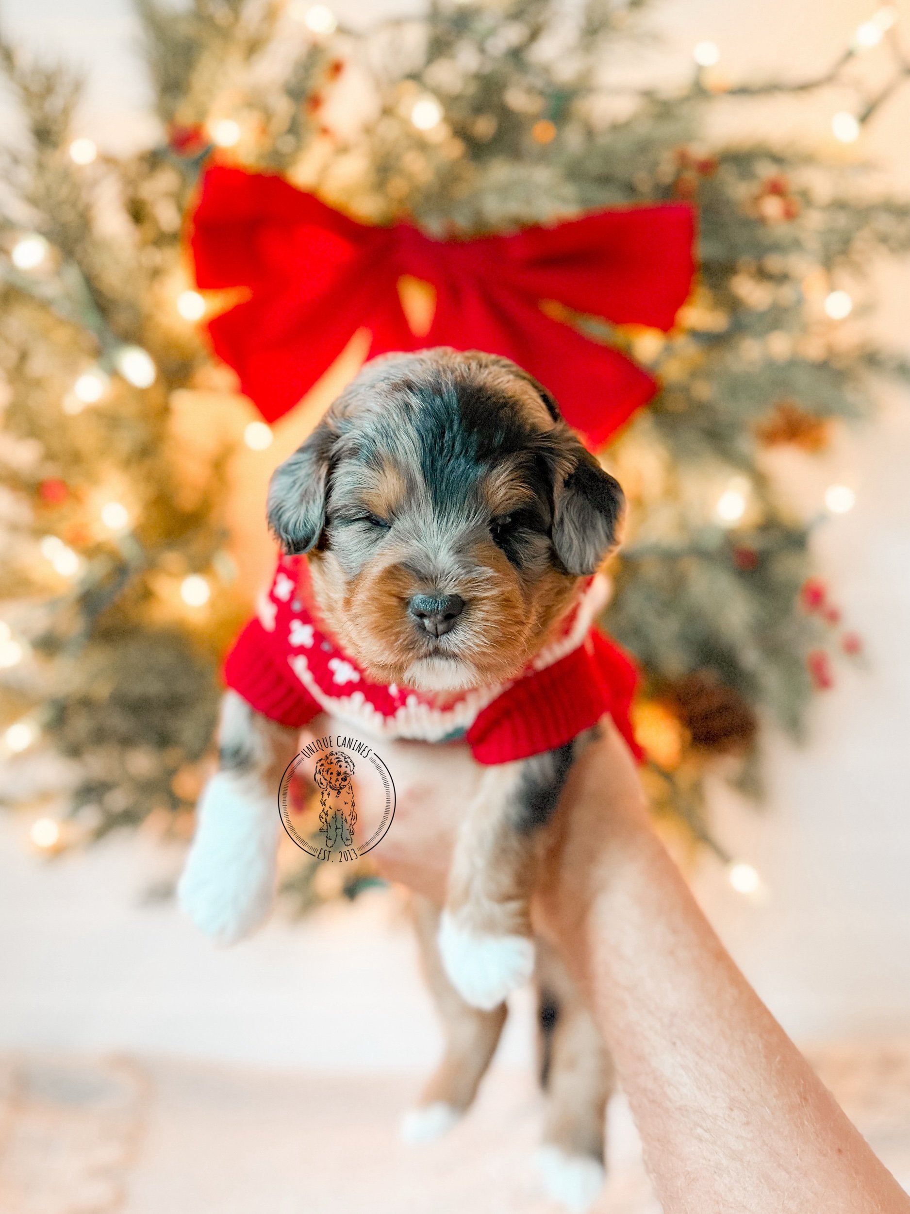 eZy Watermark_20-11-2025_12-41-54-5490PM.jpeg