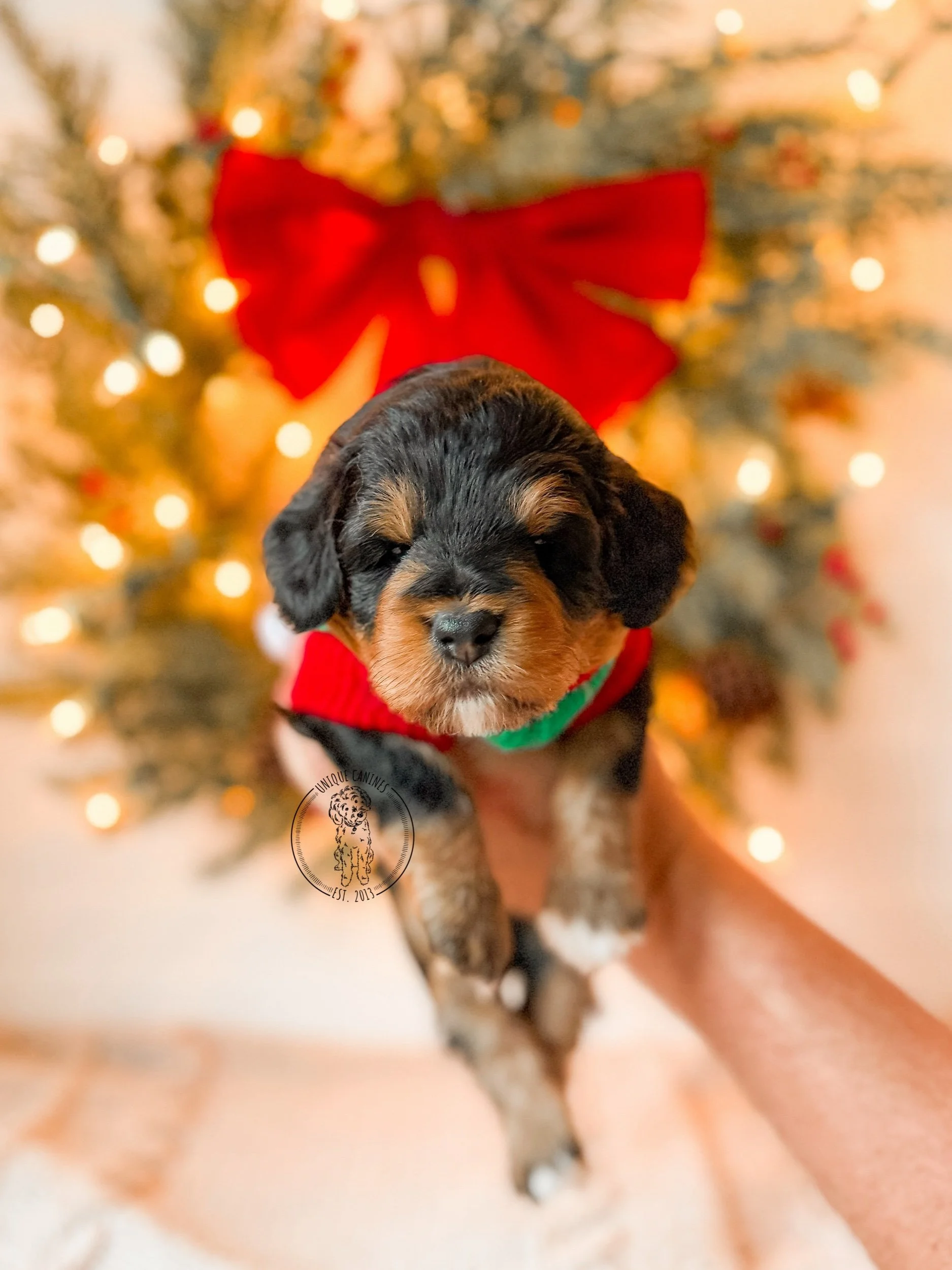 eZy Watermark_20-11-2025_12-41-54-3290PM.jpeg