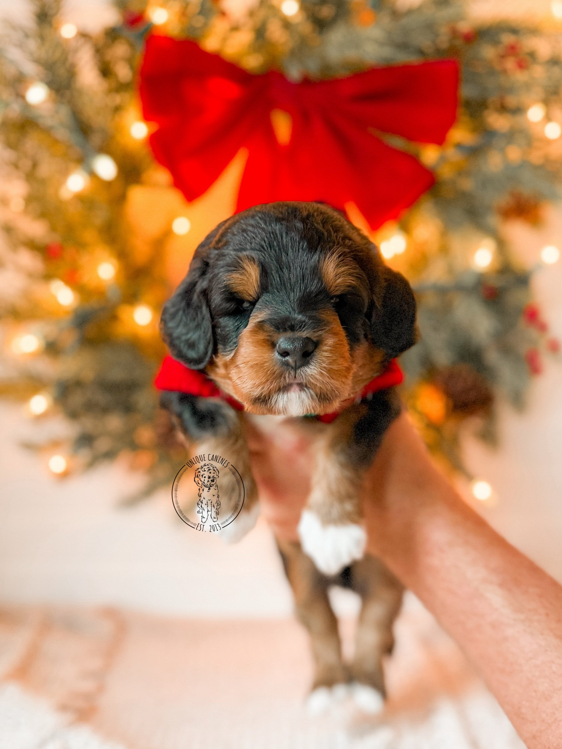 eZy Watermark_20-11-2025_12-41-54-7380PM.jpeg