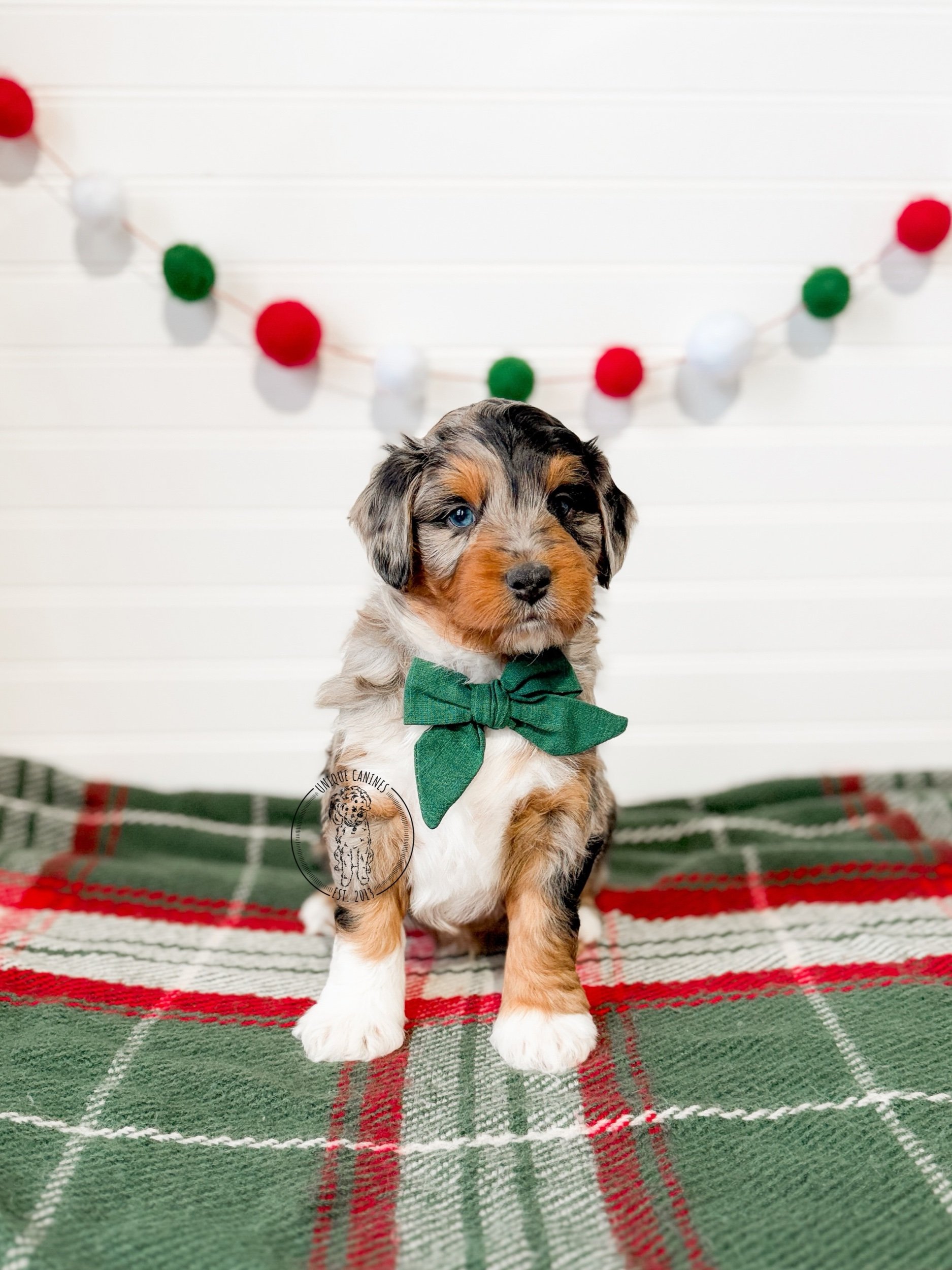 eZy Watermark_03-12-2025_02-22-17-0380PM.jpeg