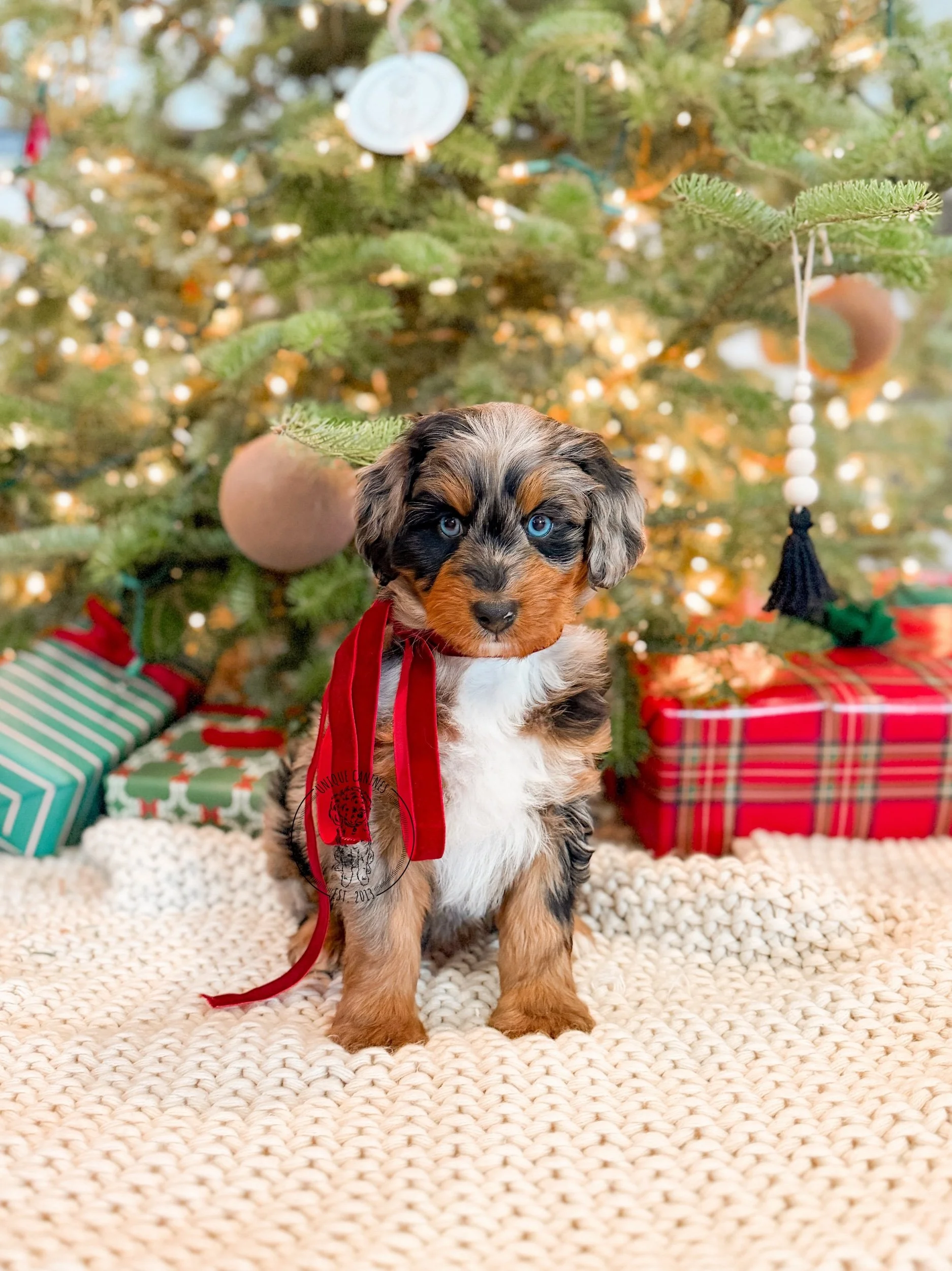 eZy Watermark_13-12-2025_08-05-44-3520PM.jpeg