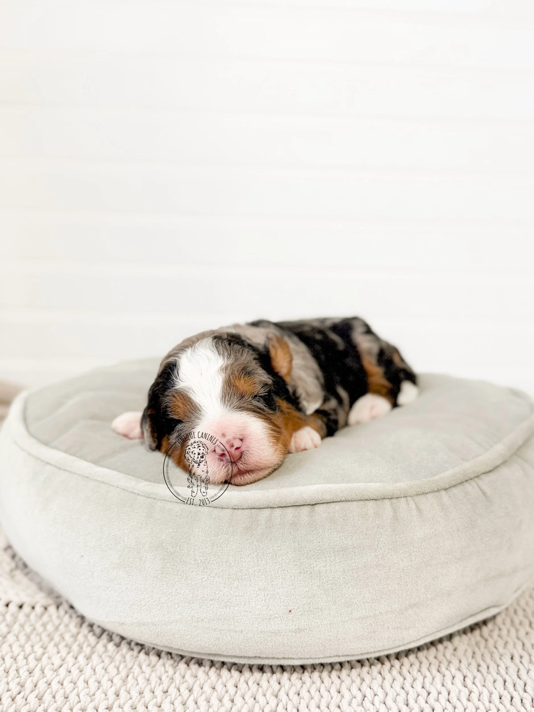 eZy Watermark_29-12-2025_04-12-17-7290PM.jpeg