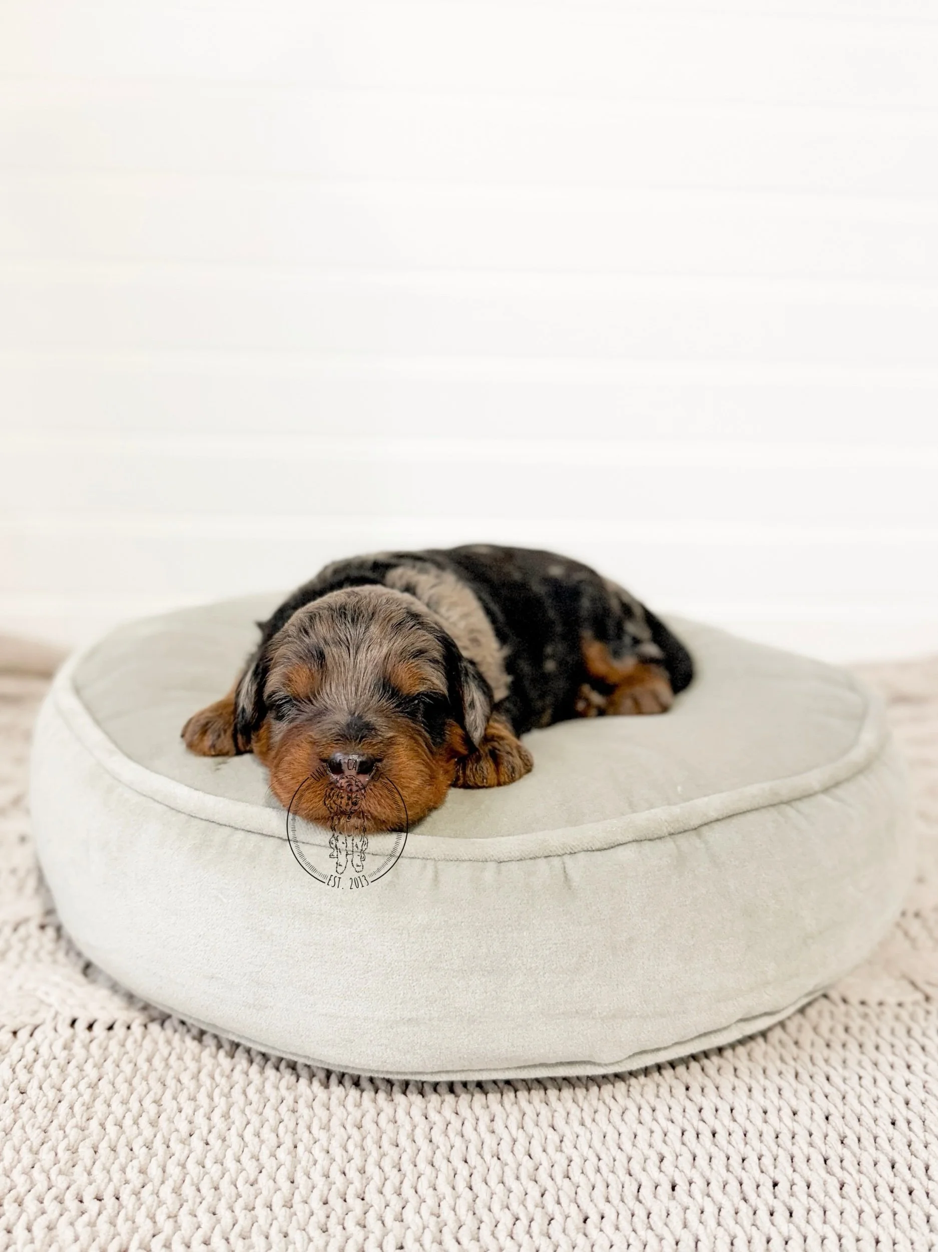 eZy Watermark_29-12-2025_04-12-17-9030PM.jpeg