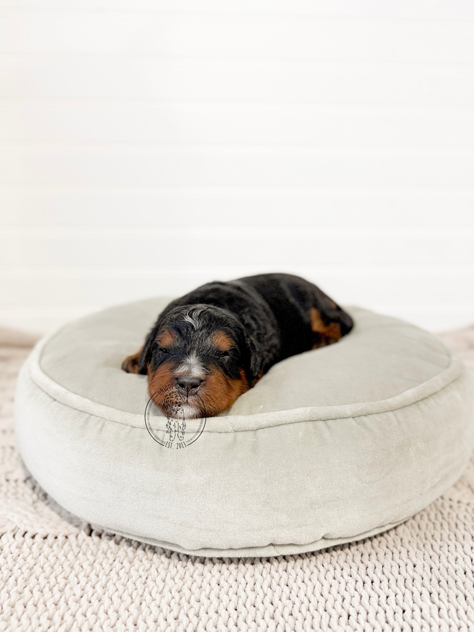 eZy Watermark_29-12-2025_04-12-18-0850PM.jpeg