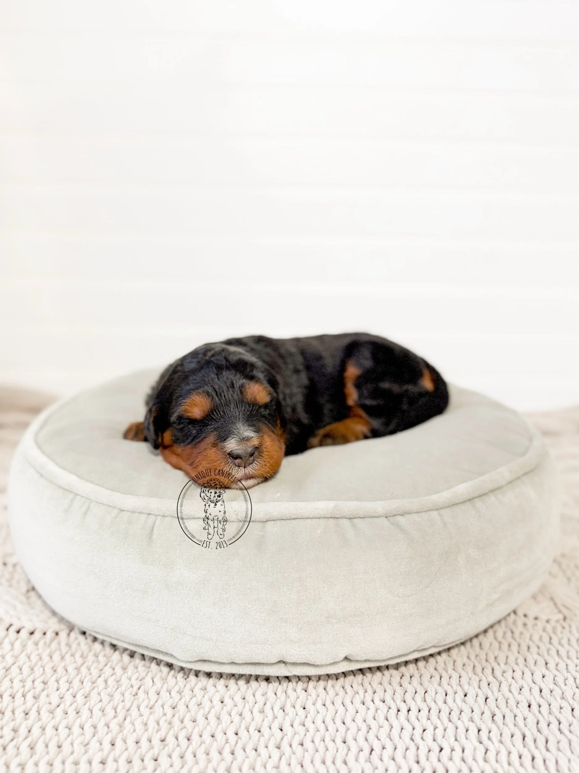 eZy Watermark_29-12-2025_04-12-18-3090PM.jpeg