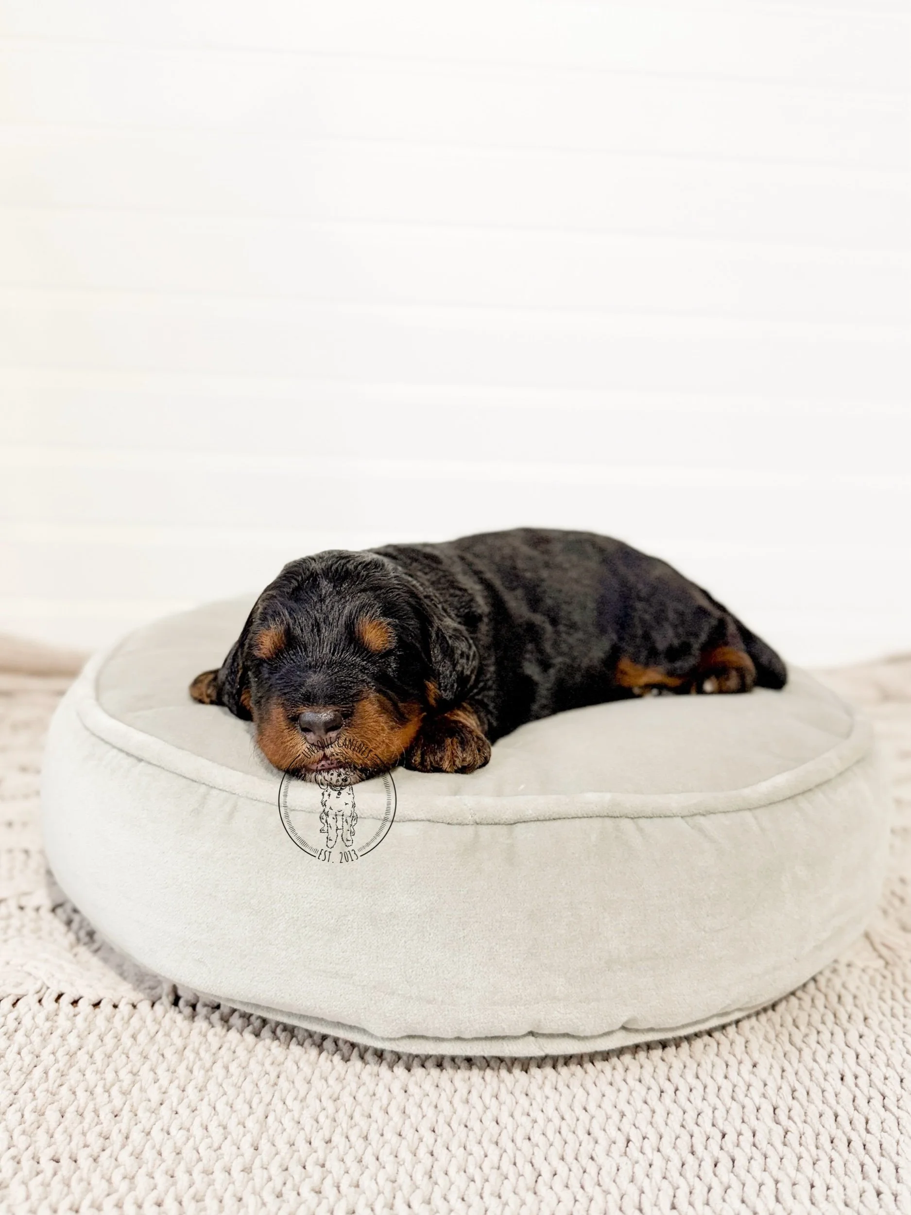 eZy Watermark_29-12-2025_04-12-18-6820PM.jpeg