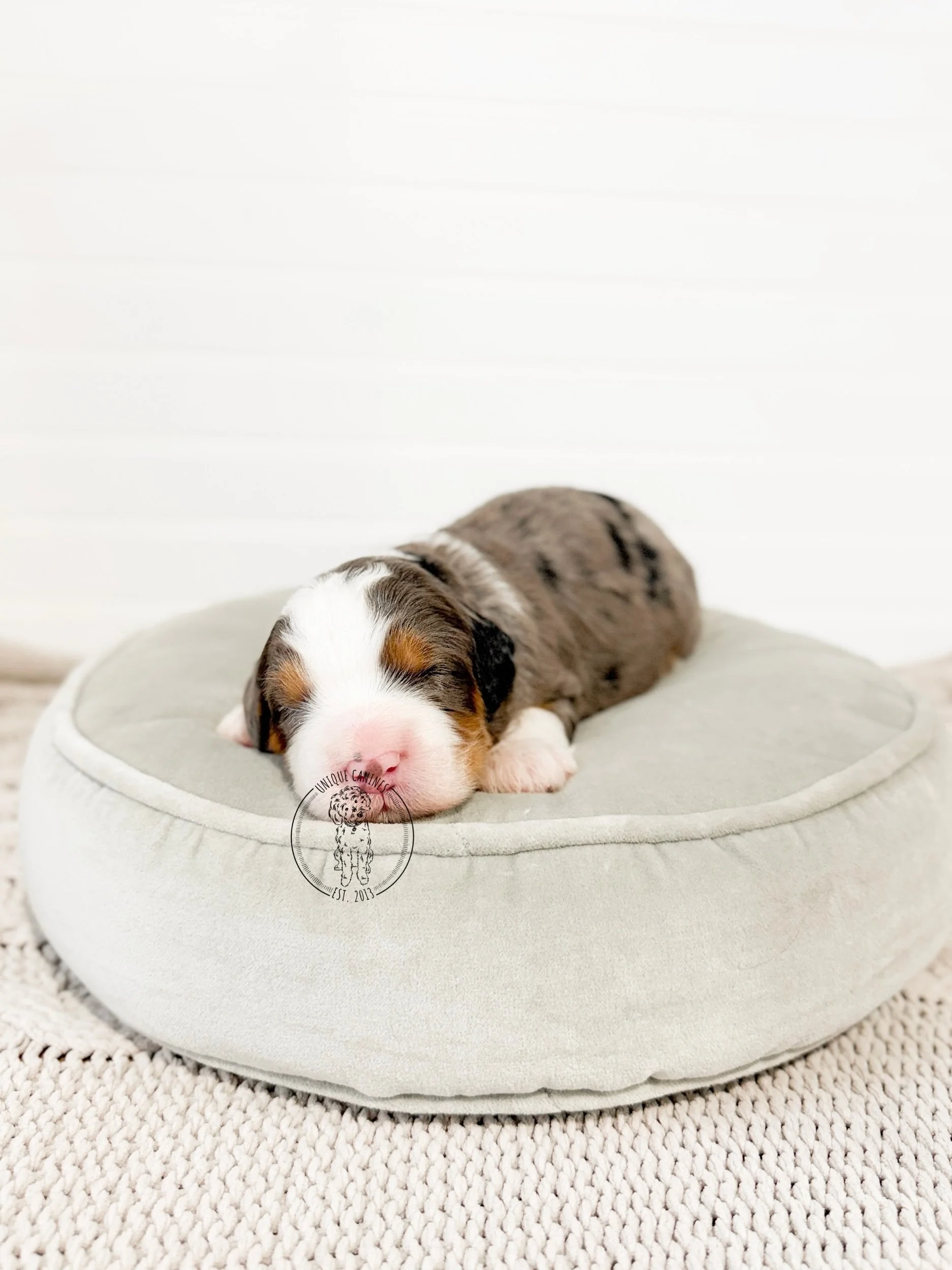 eZy Watermark_29-12-2025_04-12-18-4970PM.jpeg