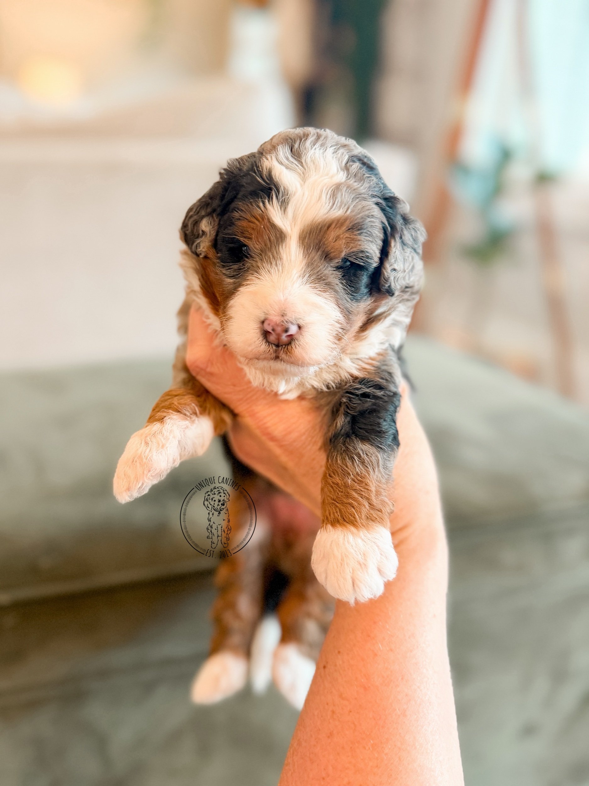 eZy Watermark_07-01-2026_01-51-52-4230PM.jpeg