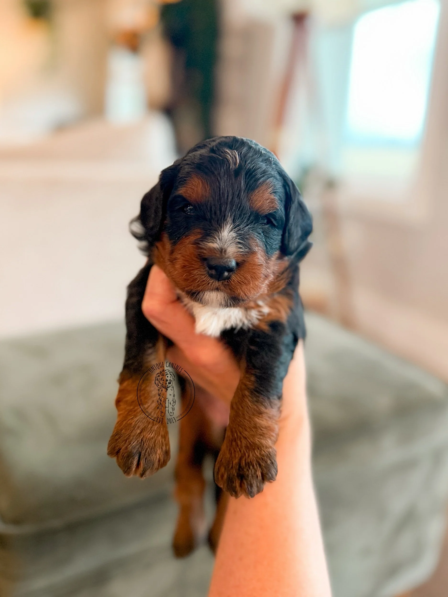 eZy Watermark_07-01-2026_01-51-53-0730PM.jpeg