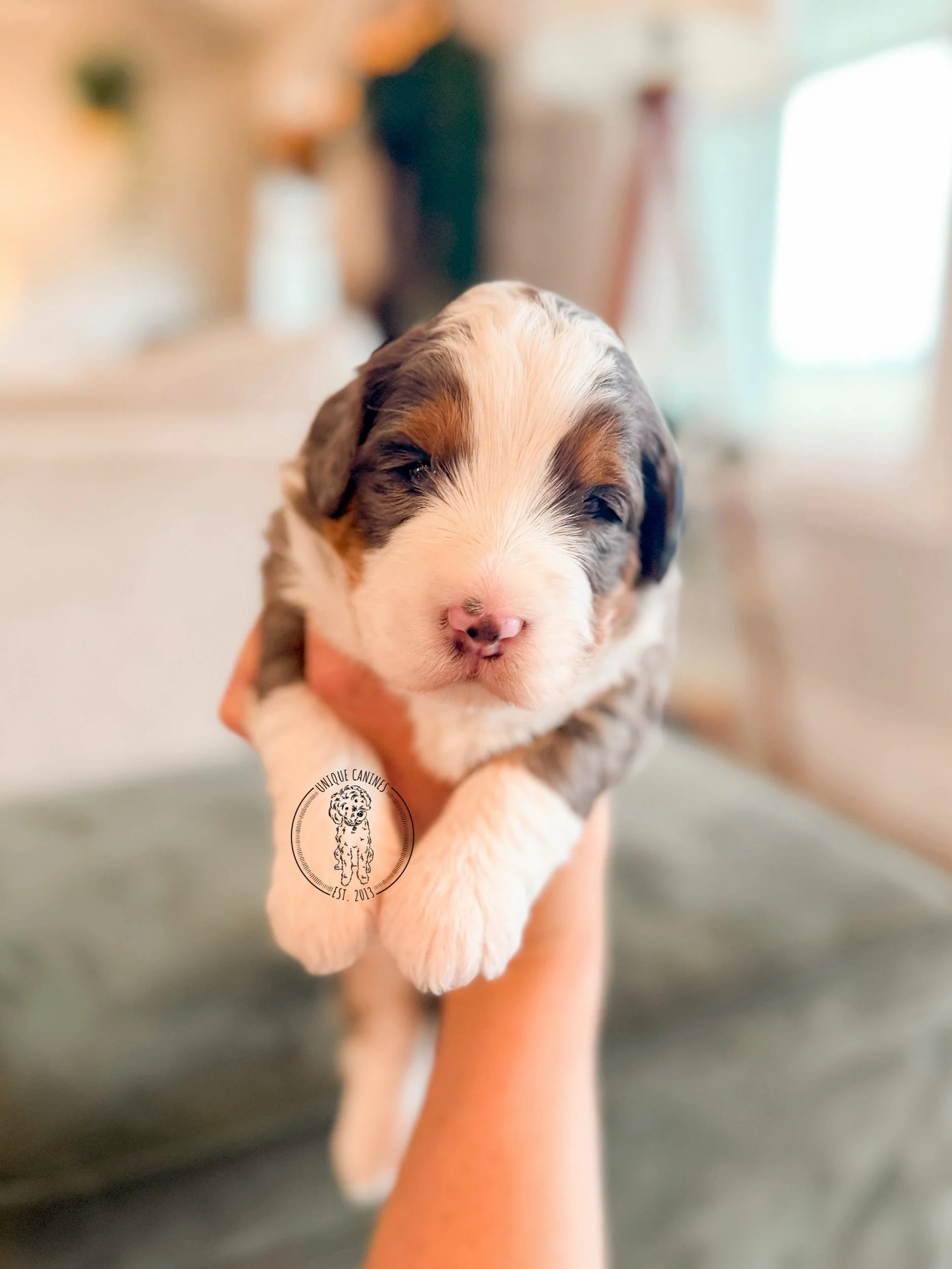 eZy Watermark_07-01-2026_01-51-53-6540PM.jpeg