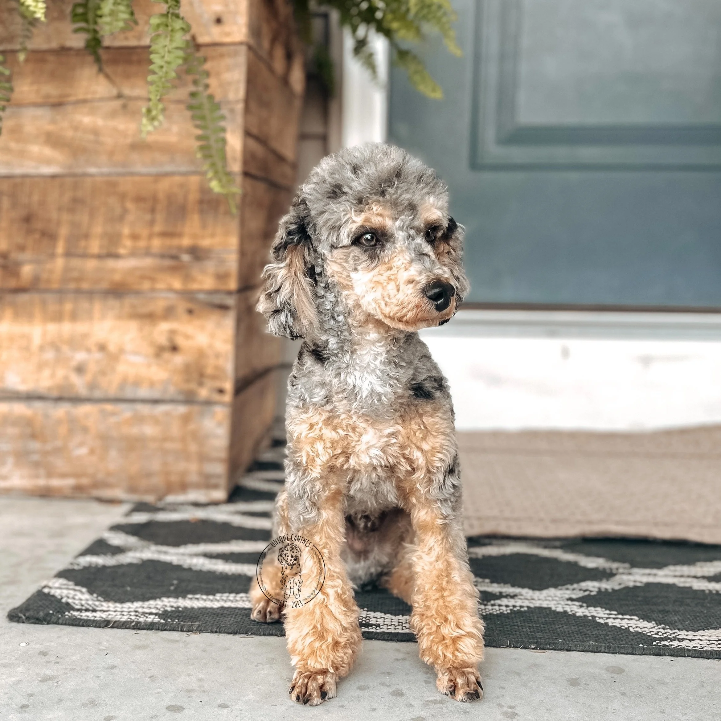 eZy Watermark_22-06-2023_02-26-40-3320PM.JPG