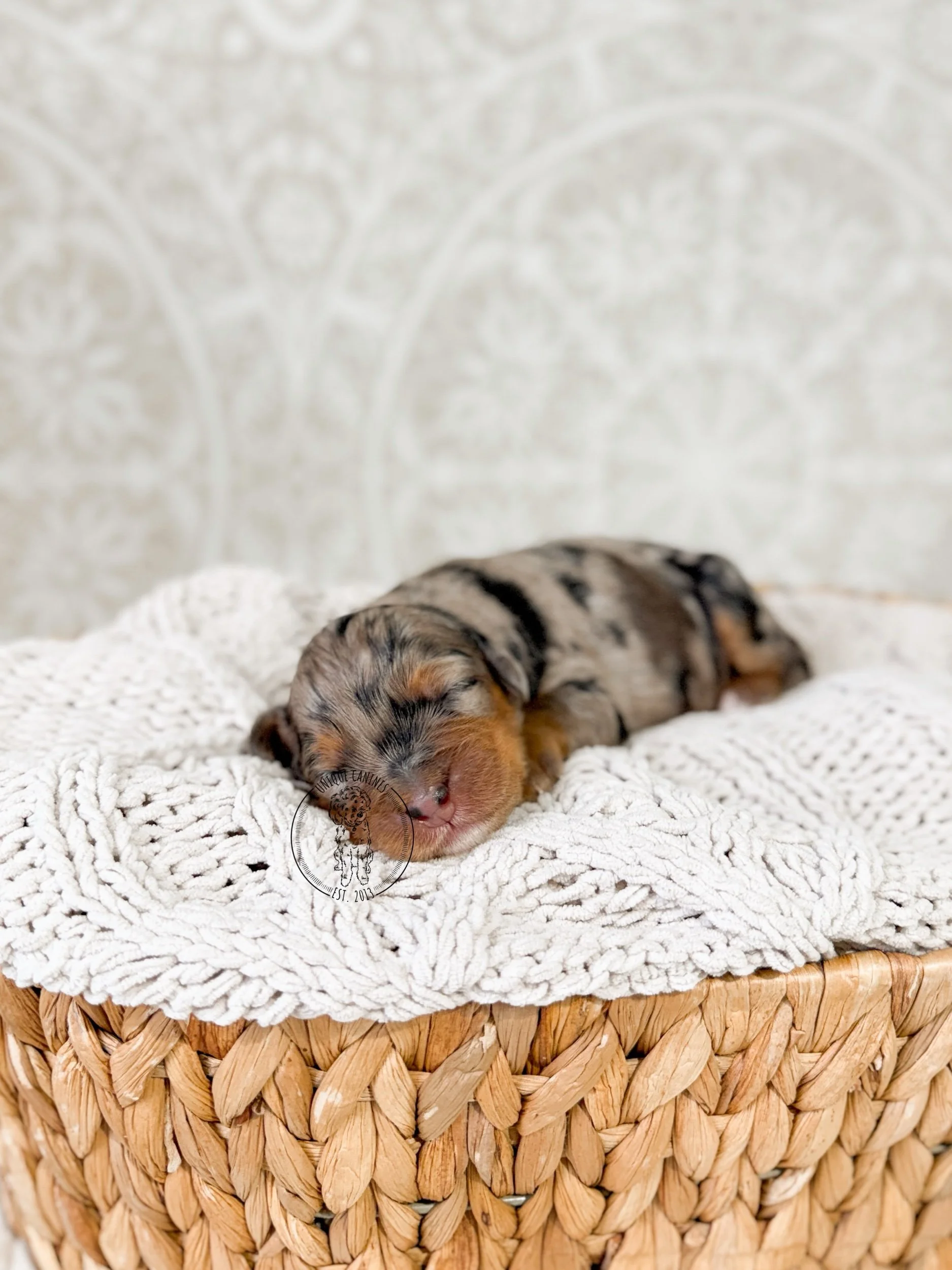 eZy Watermark_07-01-2026_03-49-13-0790PM.jpeg