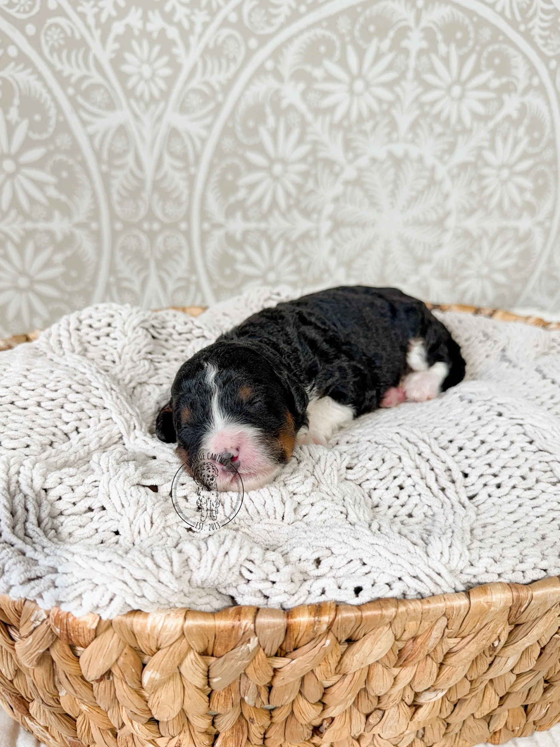 eZy Watermark_07-01-2026_03-49-13-3140PM.jpeg