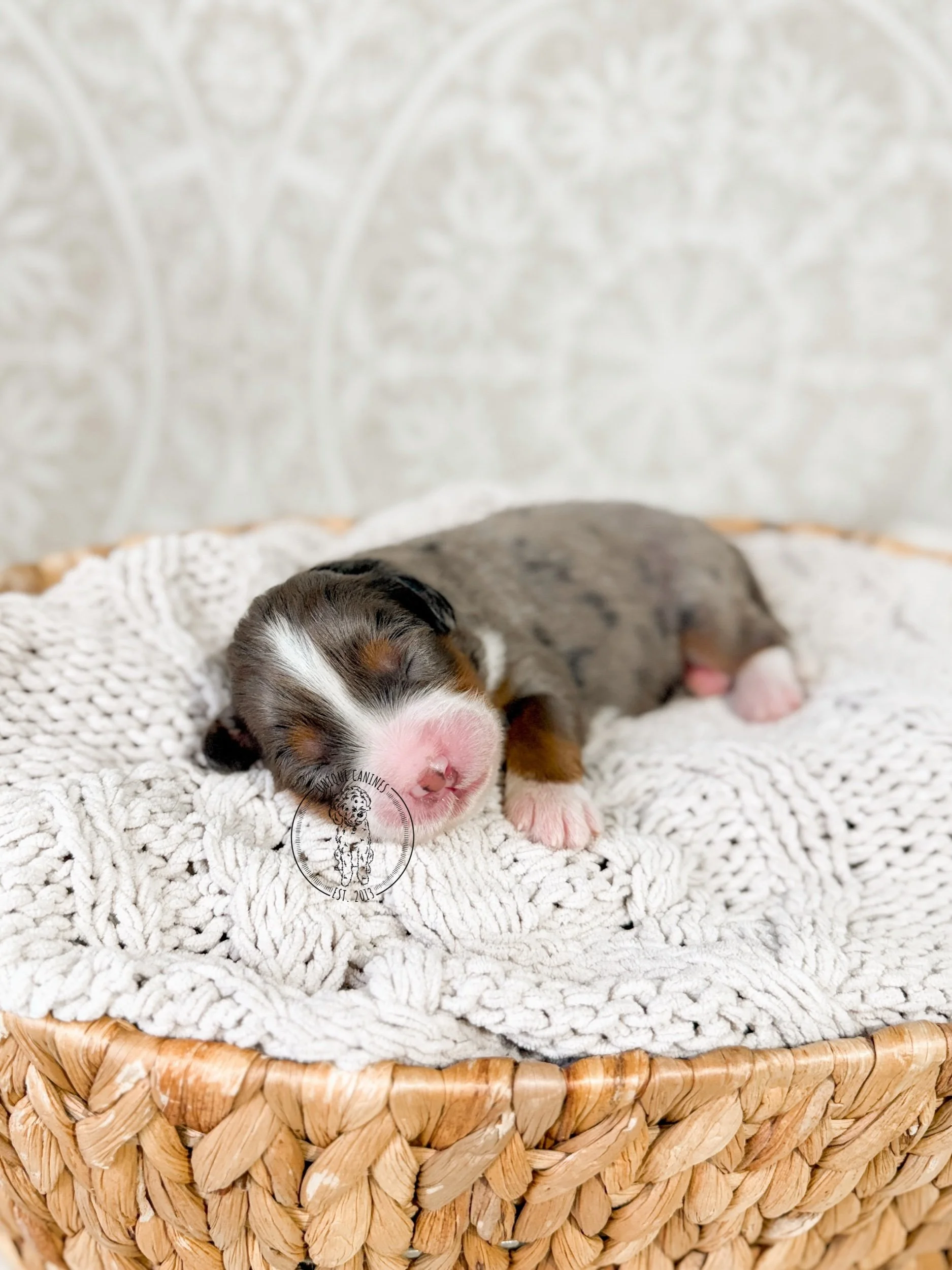 eZy Watermark_07-01-2026_03-49-13-5020PM.jpeg