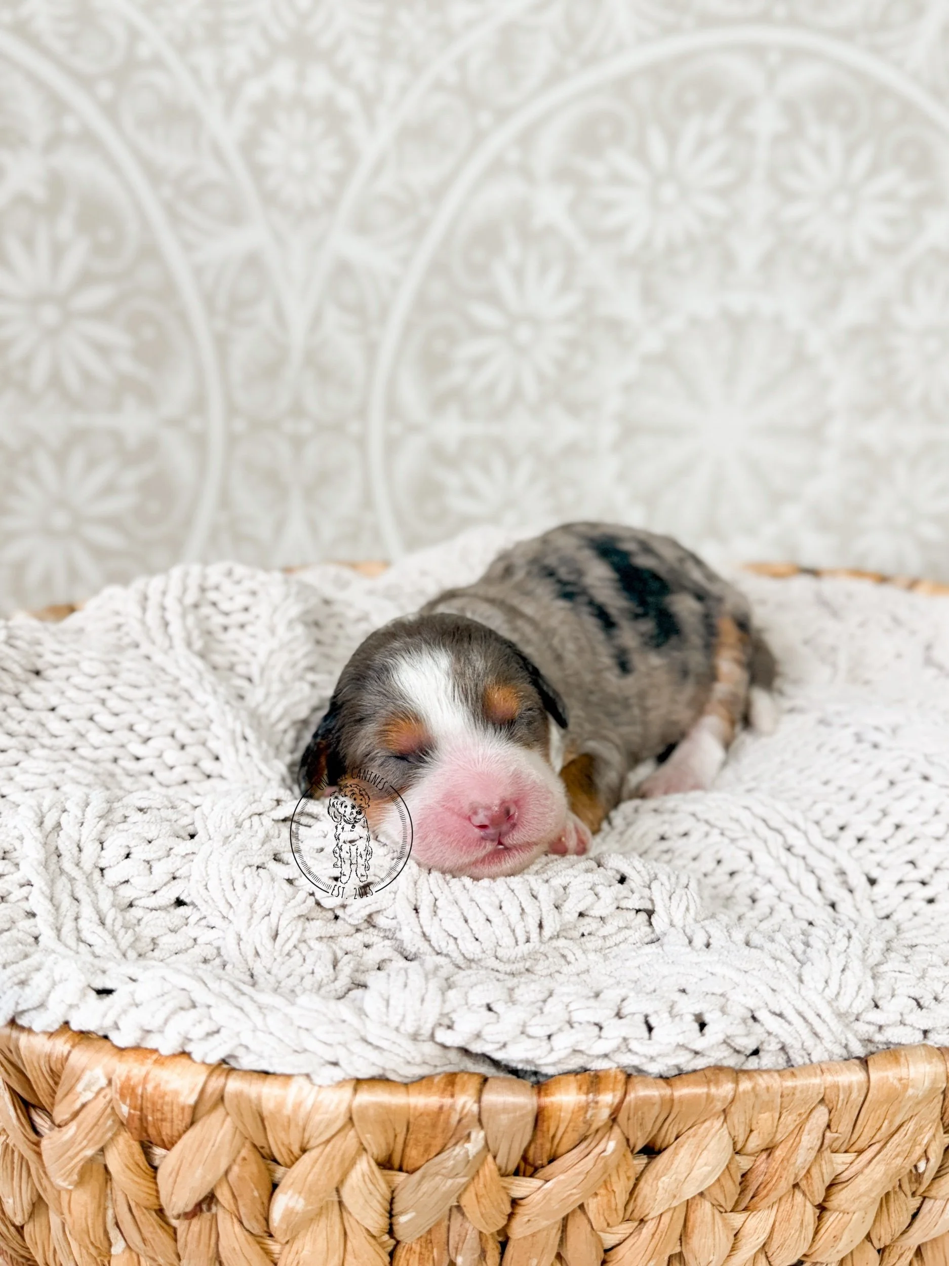 eZy Watermark_07-01-2026_03-49-13-6940PM.jpeg