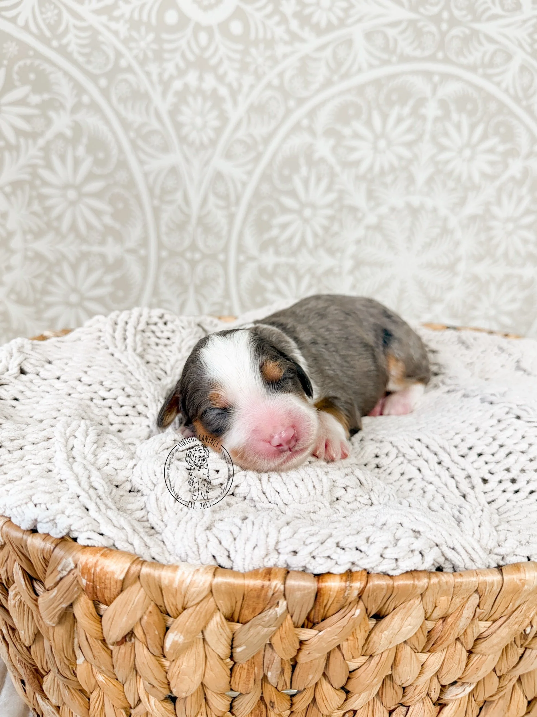 eZy Watermark_07-01-2026_03-49-14-0810PM.jpeg