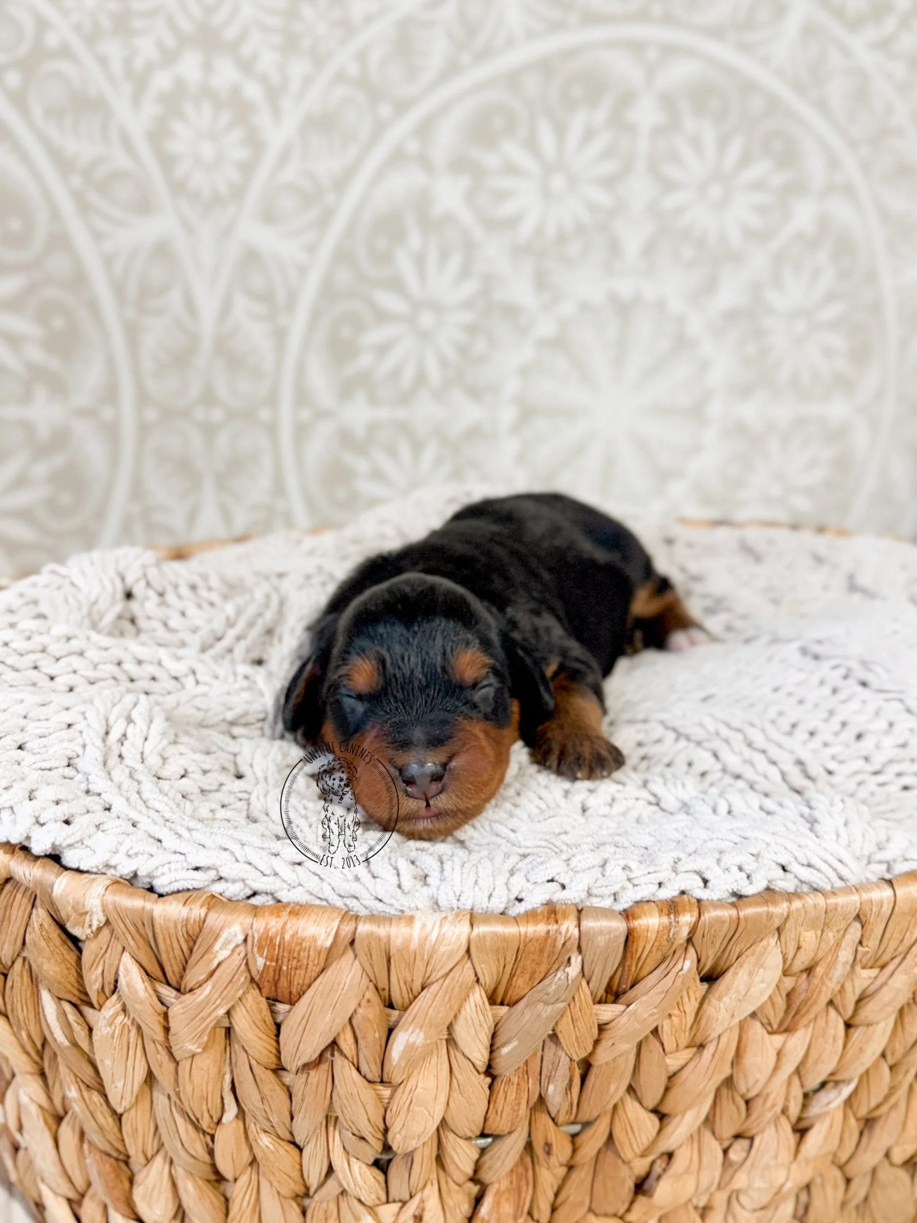 eZy Watermark_07-01-2026_03-49-14-6450PM.jpeg