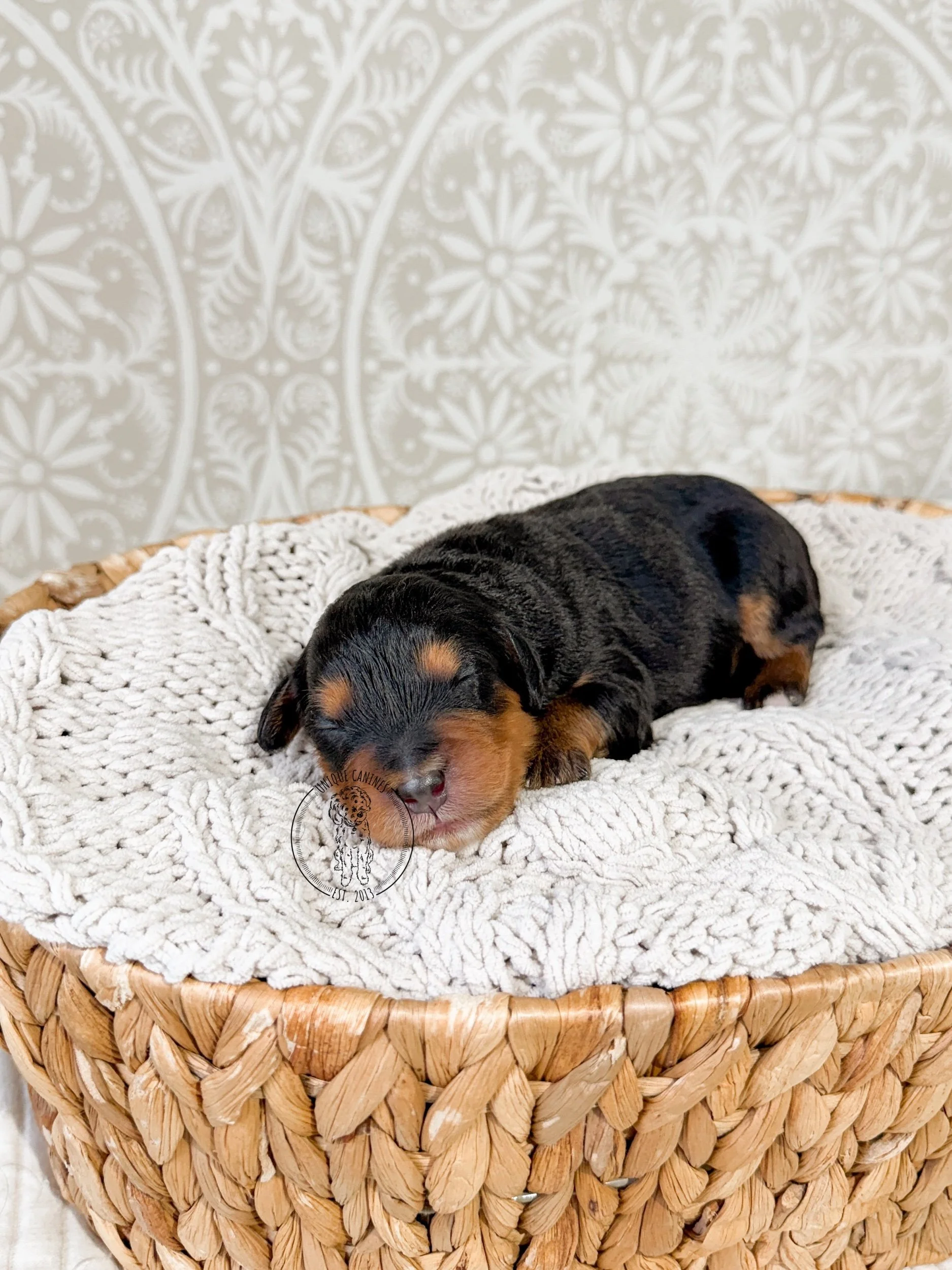 eZy Watermark_07-01-2026_03-49-14-2690PM.jpeg