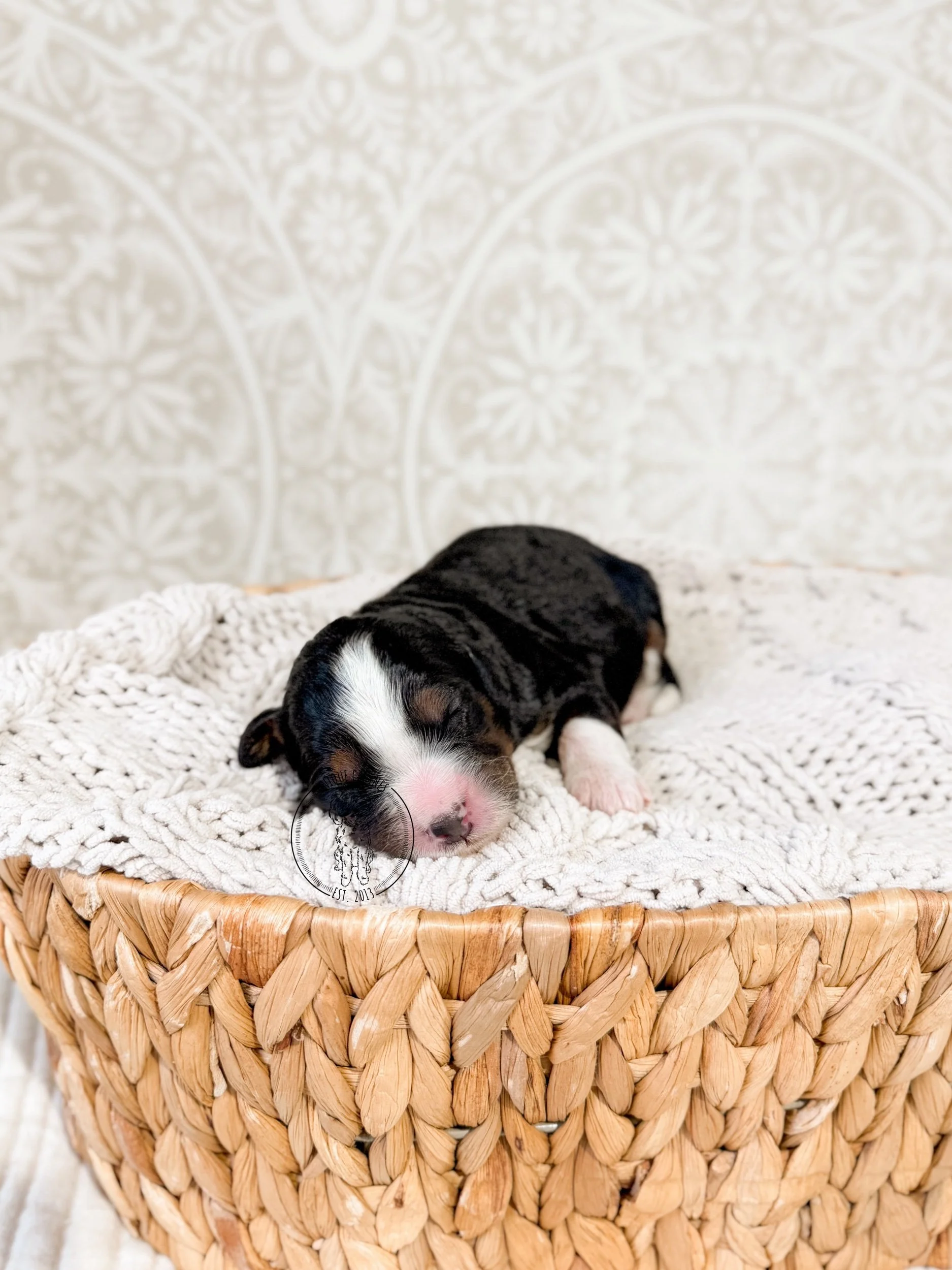 eZy Watermark_07-01-2026_03-49-14-9760PM.jpeg