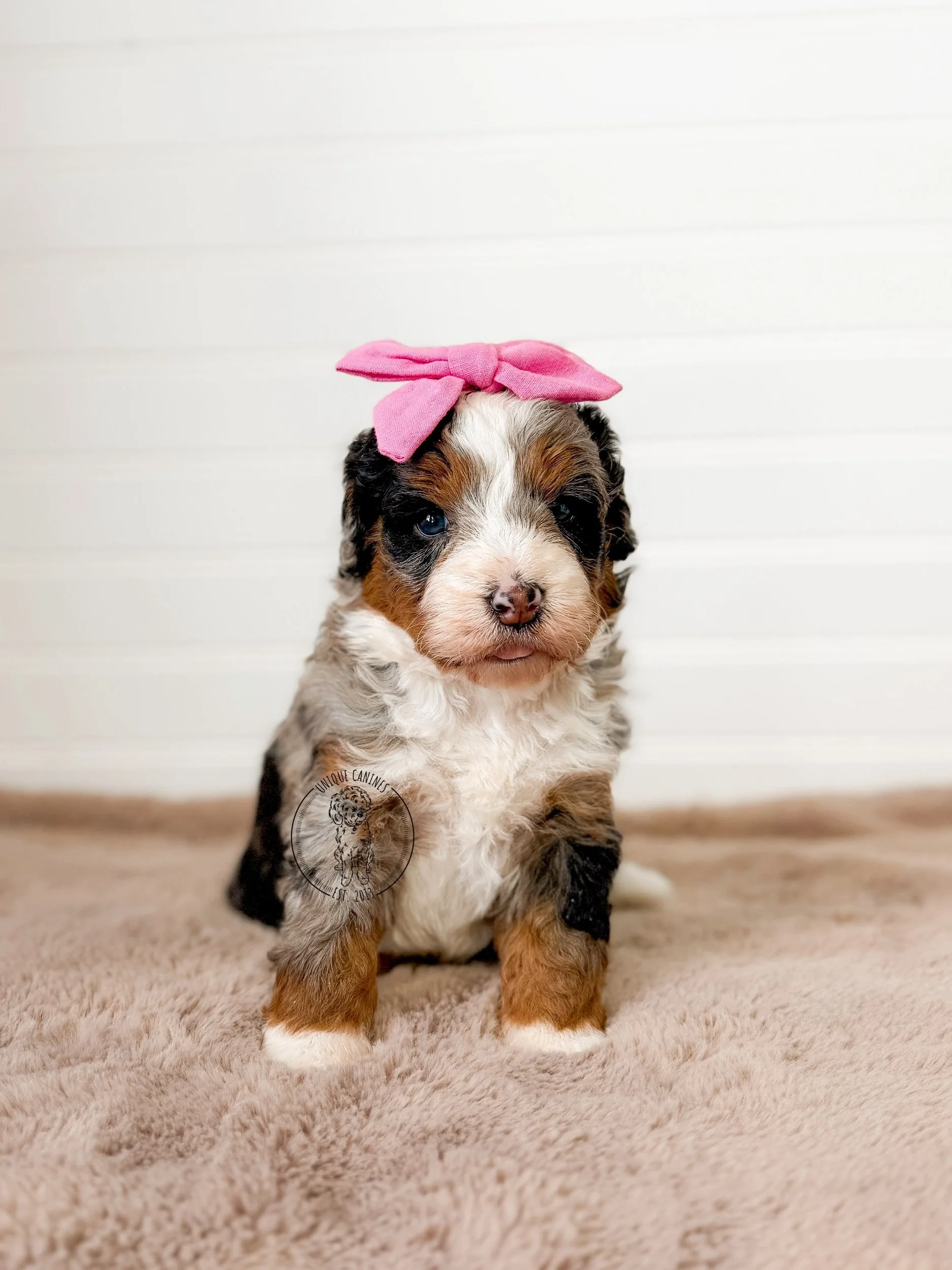 eZy Watermark_17-01-2026_01-19-06-1120PM.jpeg