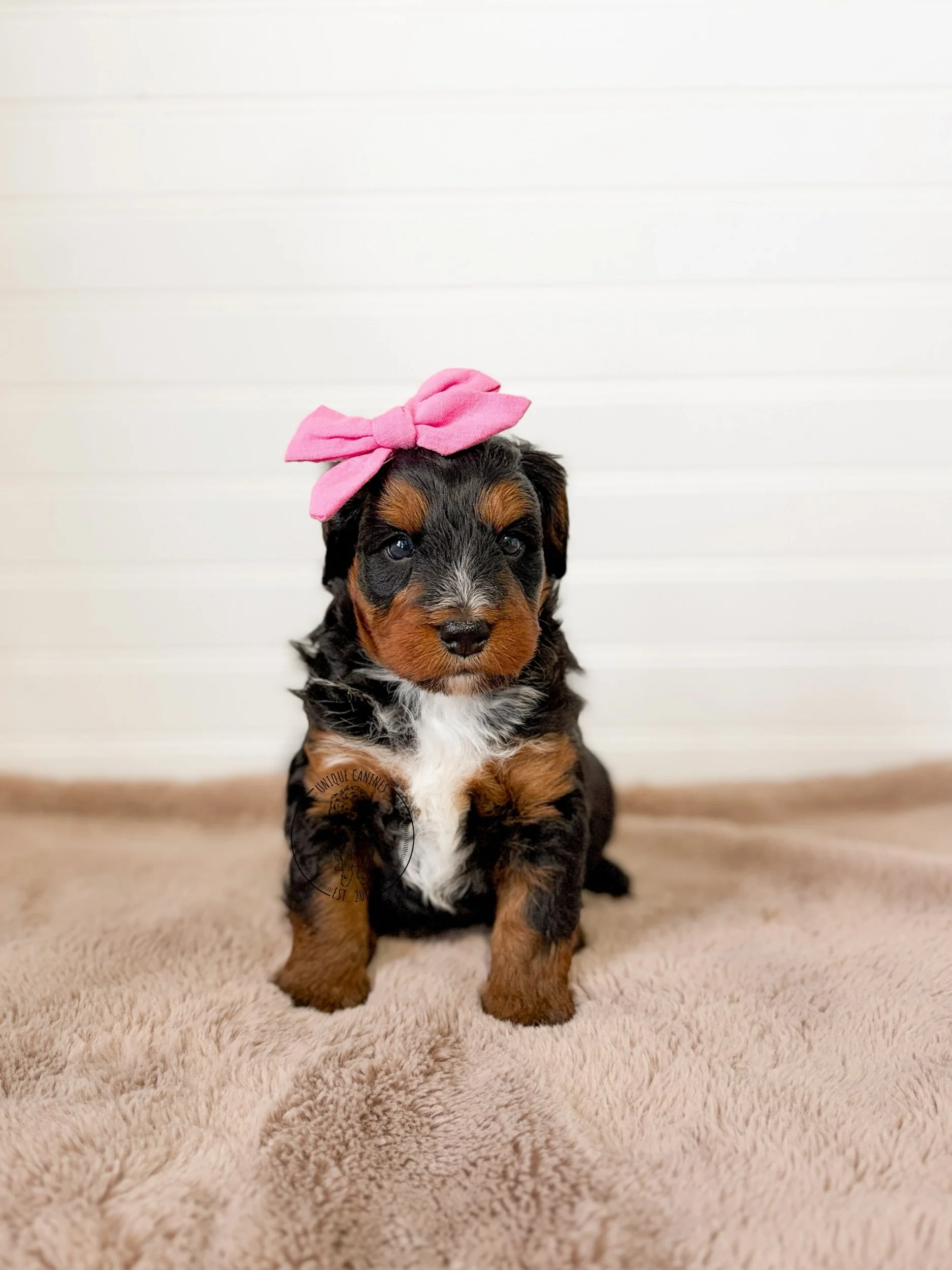 eZy Watermark_17-01-2026_01-19-06-3190PM.jpeg