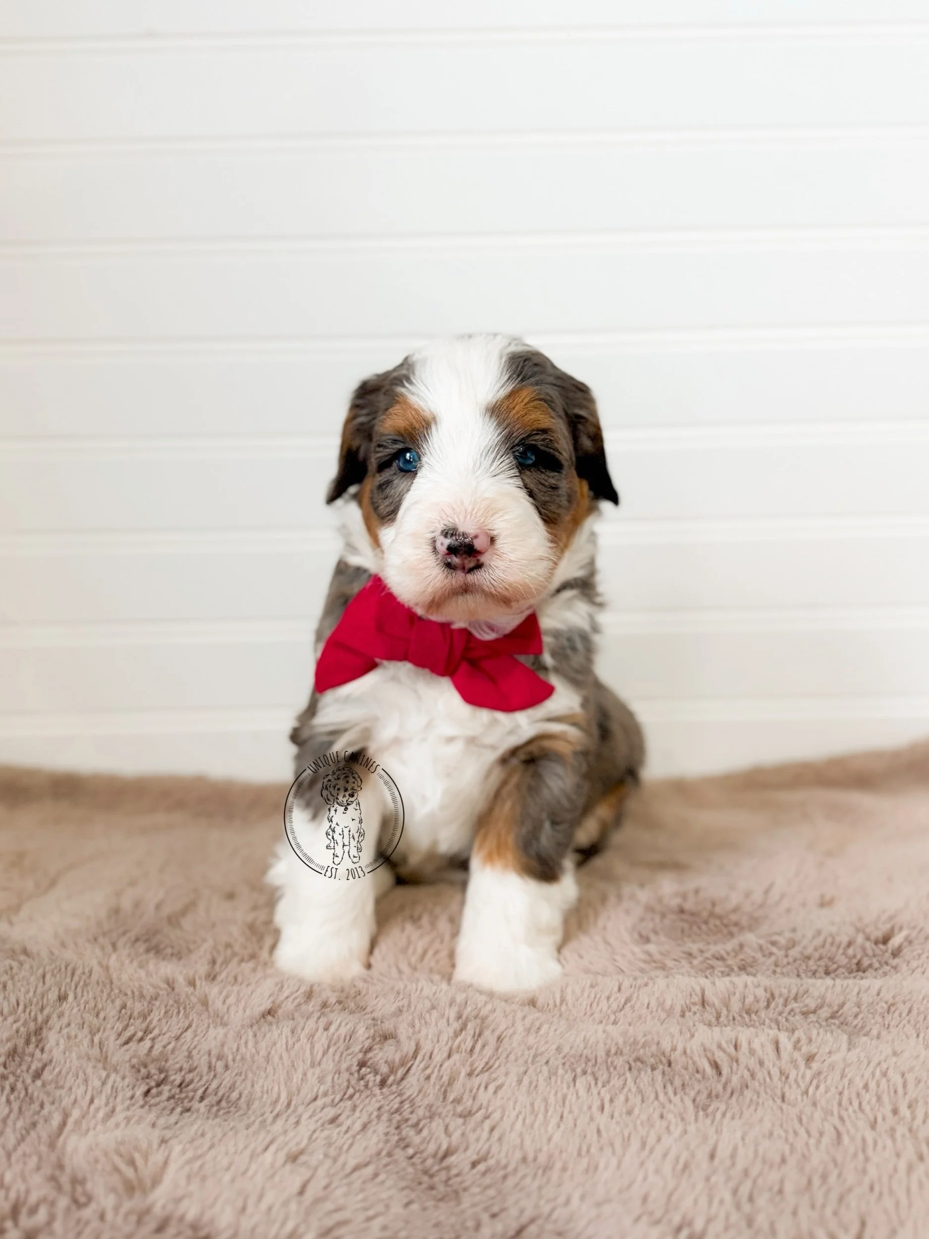 eZy Watermark_17-01-2026_01-19-06-8850PM.jpeg