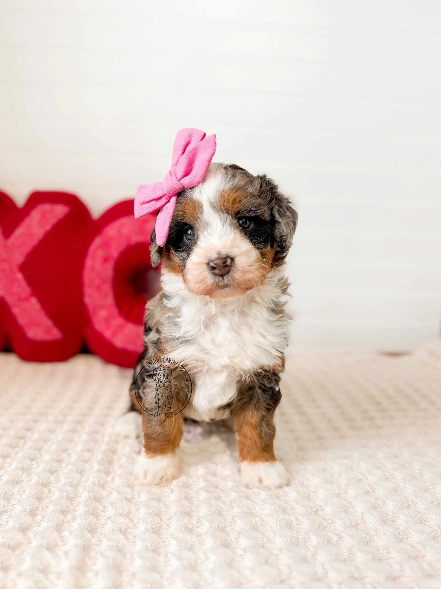 eZy Watermark_24-01-2026_02-23-17-8040PM.jpeg