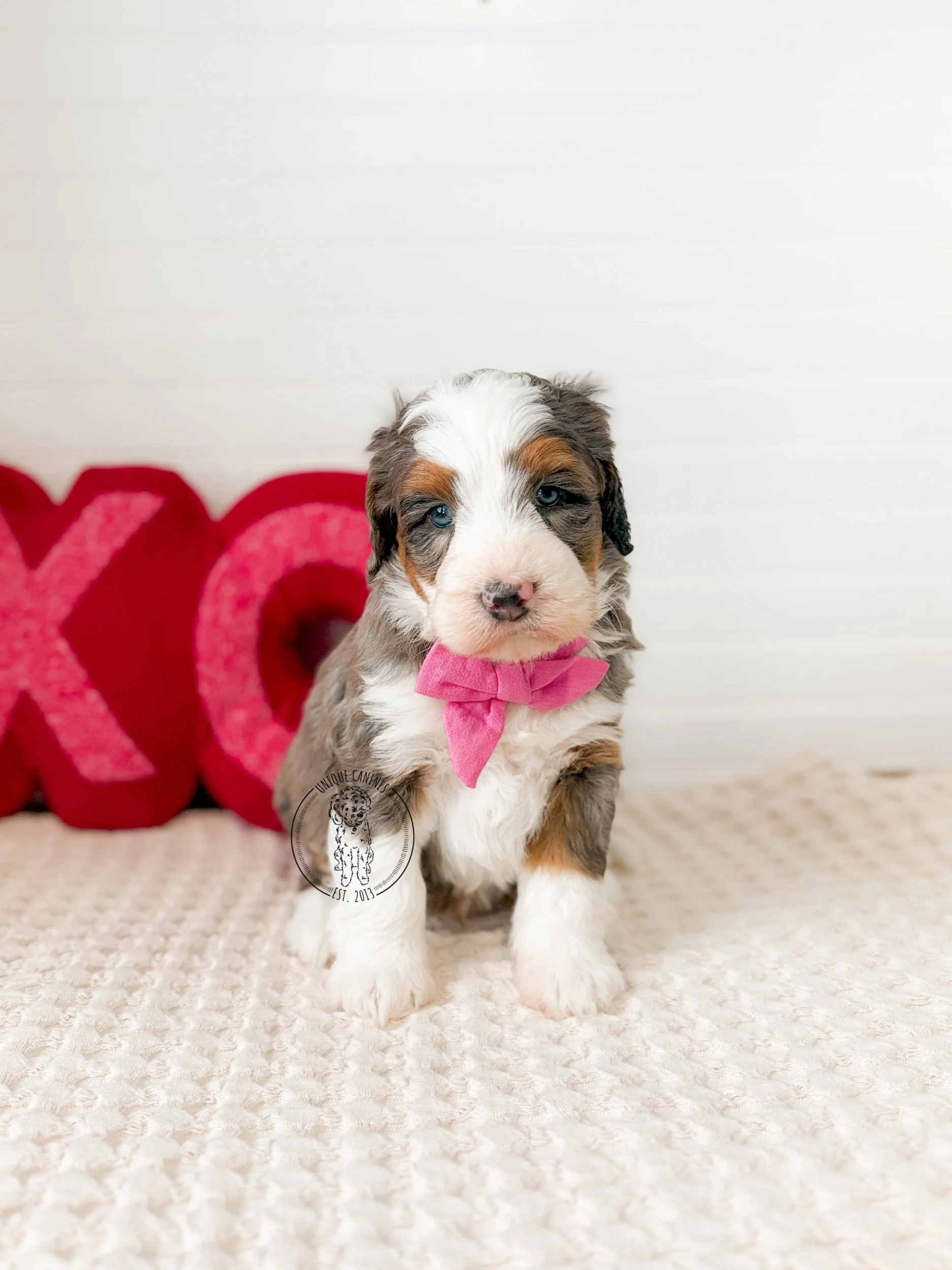 eZy Watermark_24-01-2026_02-23-18-3790PM.jpeg