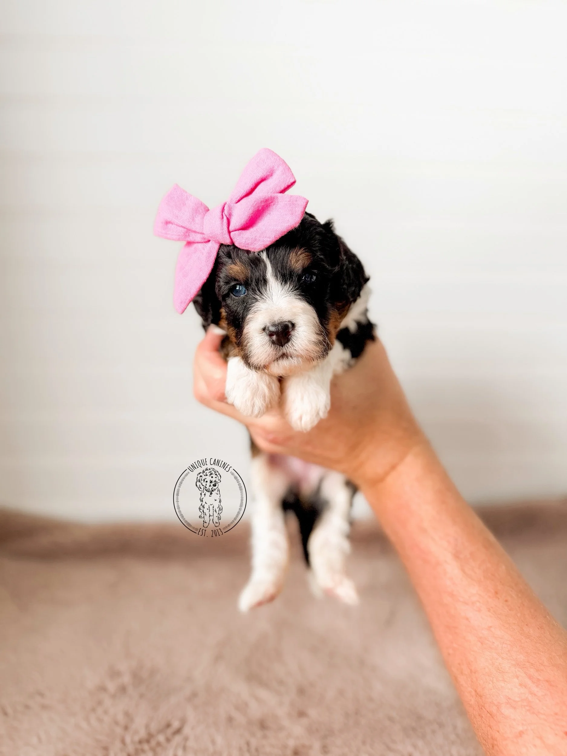 eZy Watermark_24-01-2026_02-30-26-4660PM.jpeg