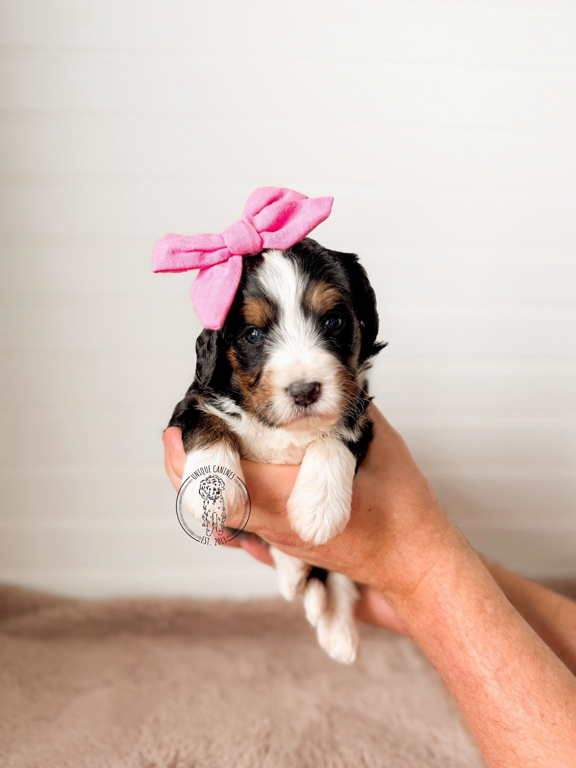 eZy Watermark_24-01-2026_02-30-28-2350PM.jpeg