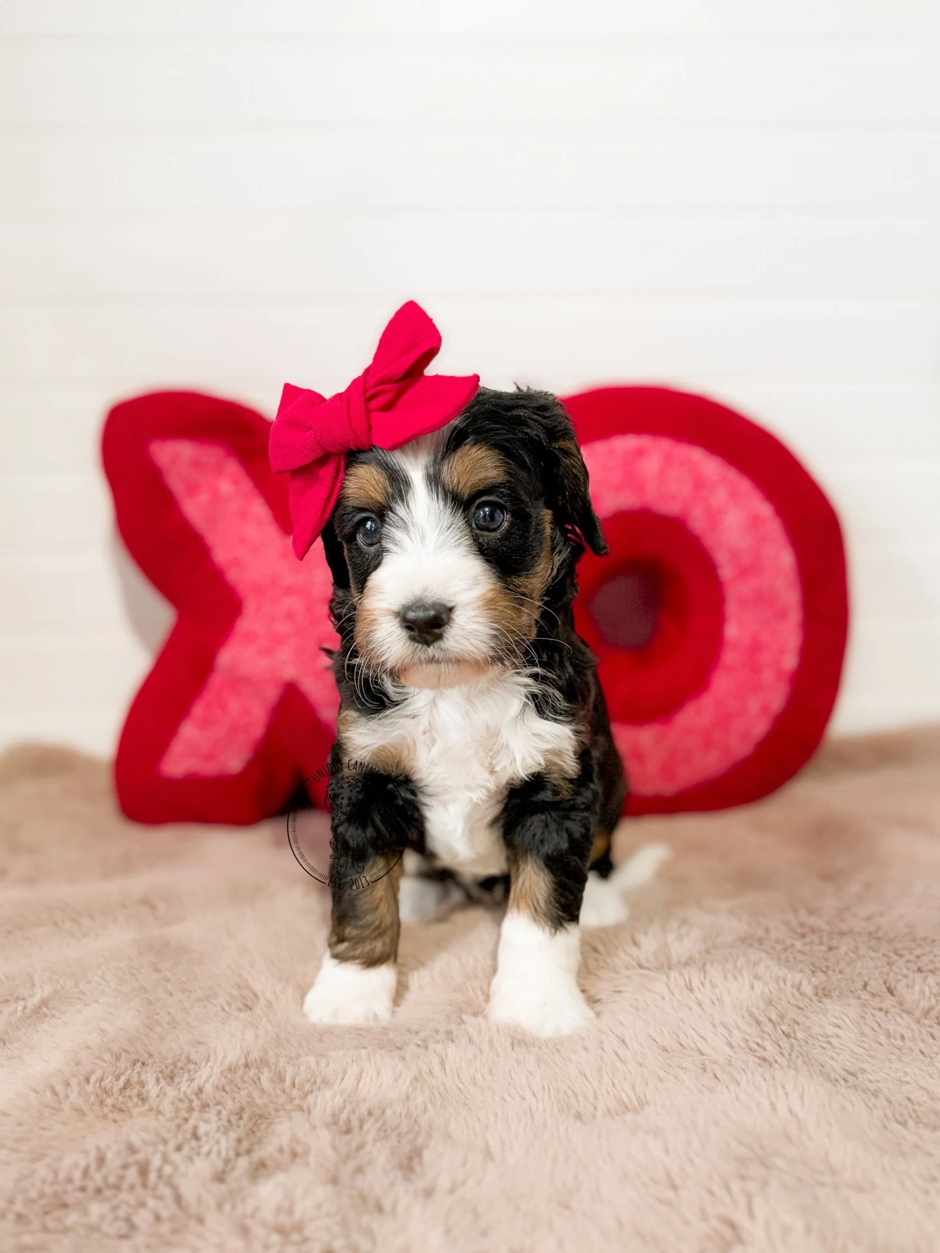 eZy Watermark_02-02-2026_03-49-56-4110PM.jpeg