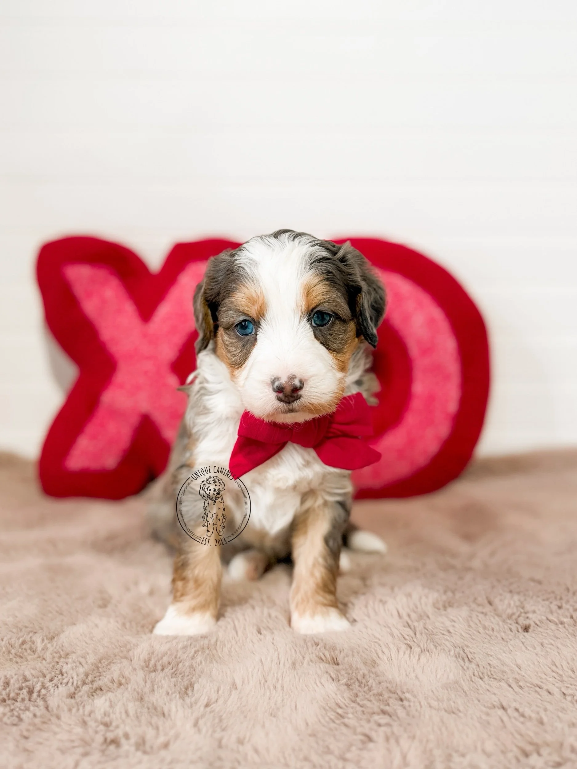 eZy Watermark_02-02-2026_03-49-56-6100PM.jpeg