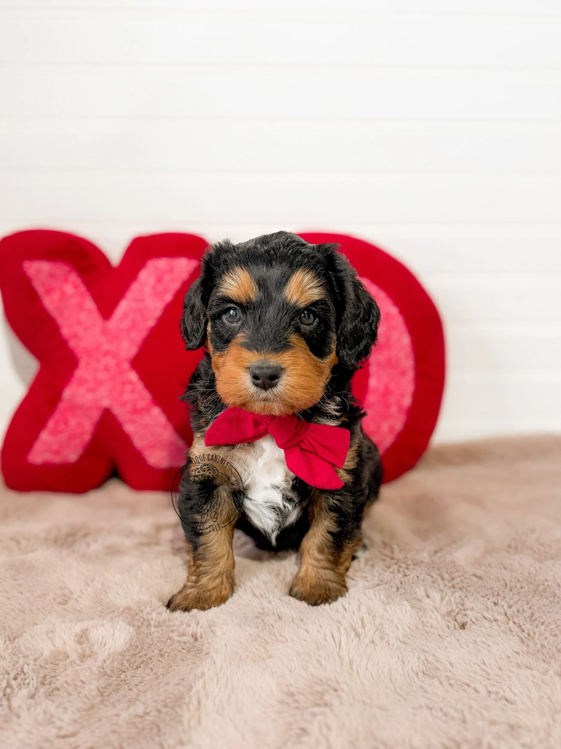 eZy Watermark_02-02-2026_03-49-56-7870PM.jpeg