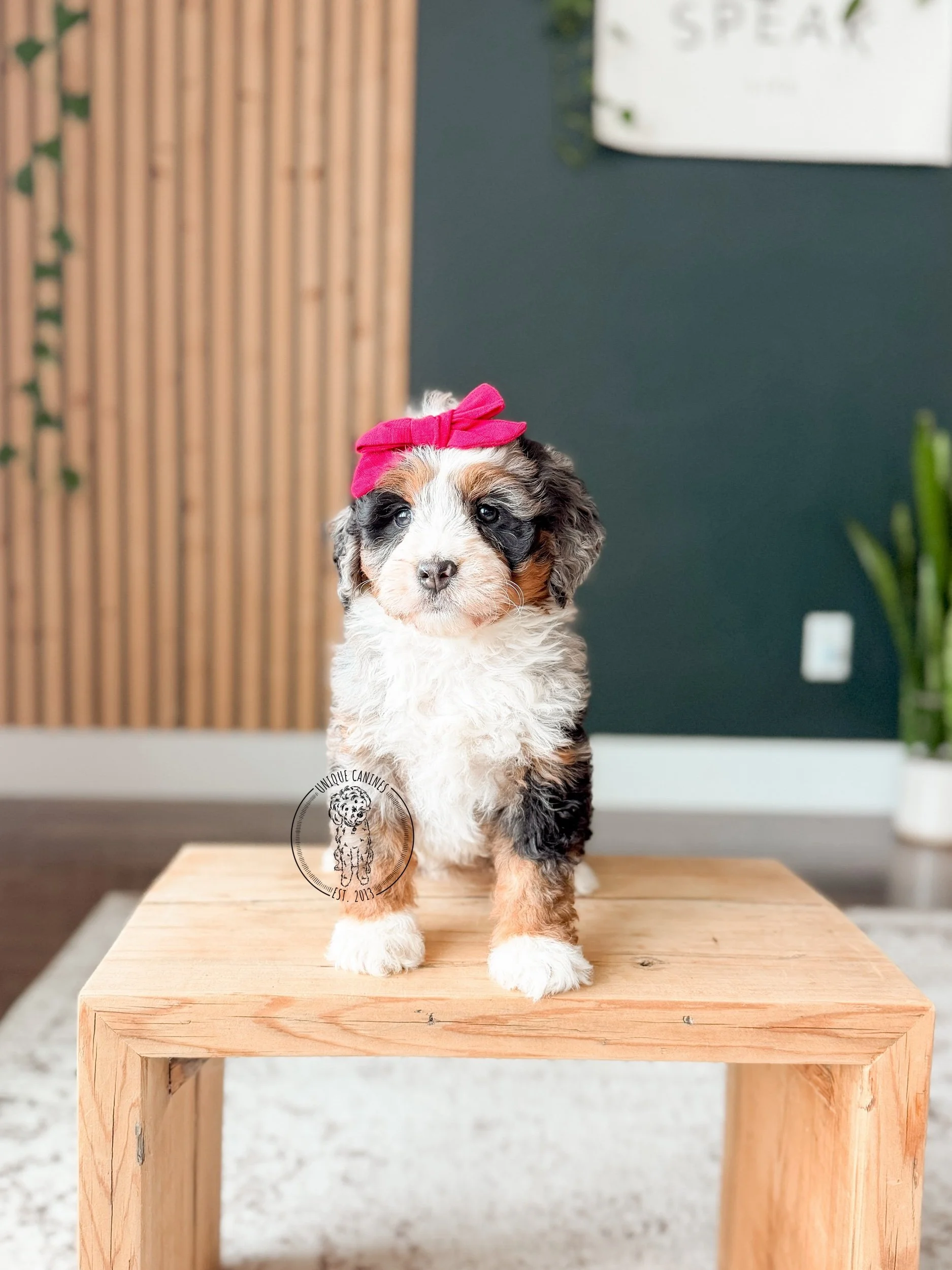 eZy Watermark_06-02-2026_05-18-51-4680PM.jpeg