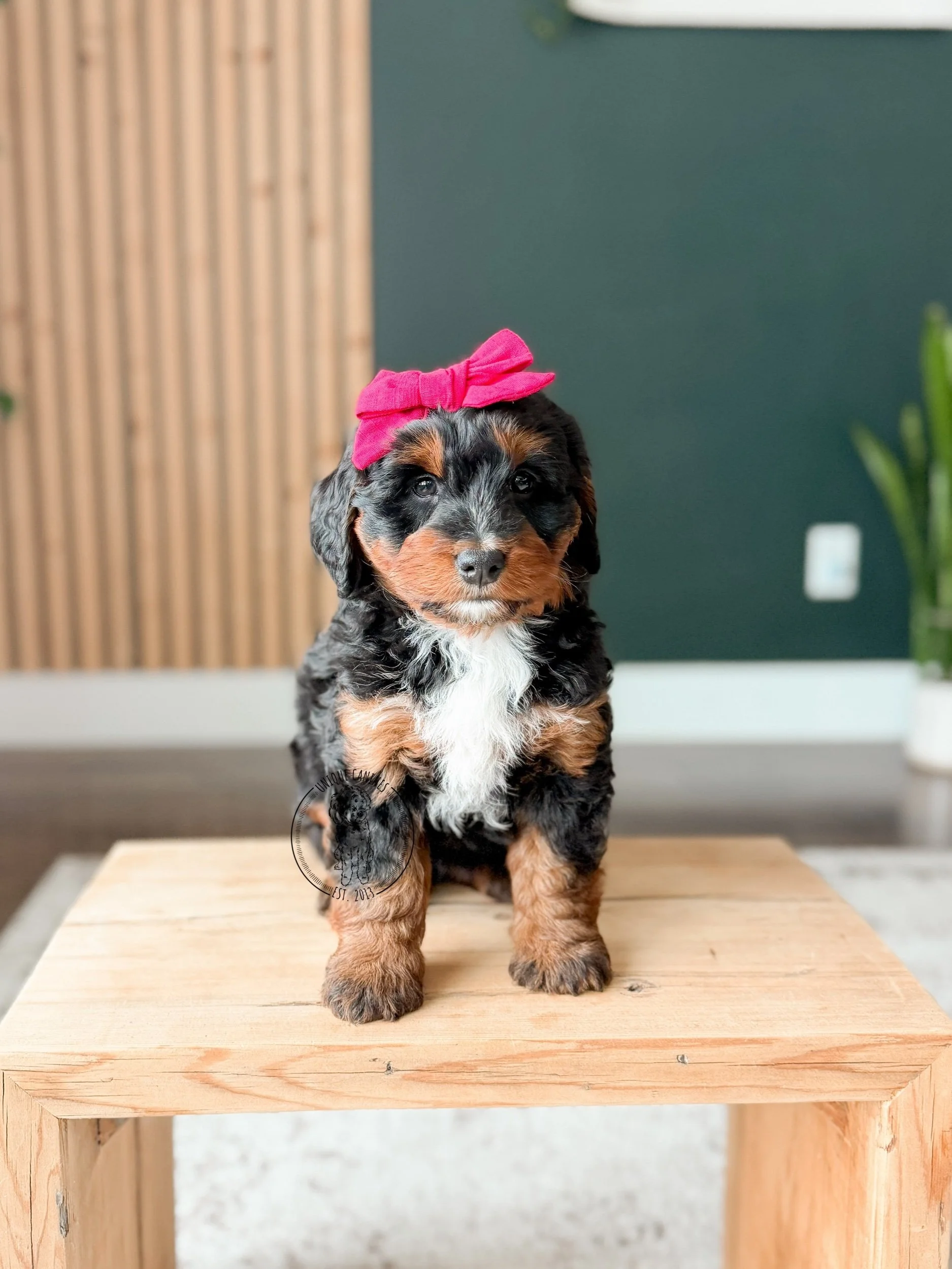 eZy Watermark_06-02-2026_05-18-52-2740PM.jpeg