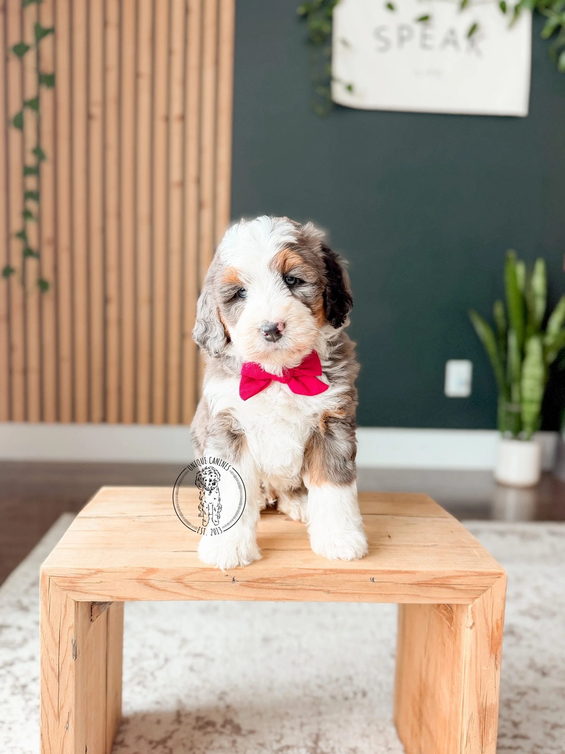 eZy Watermark_06-02-2026_05-18-51-8990PM.jpeg