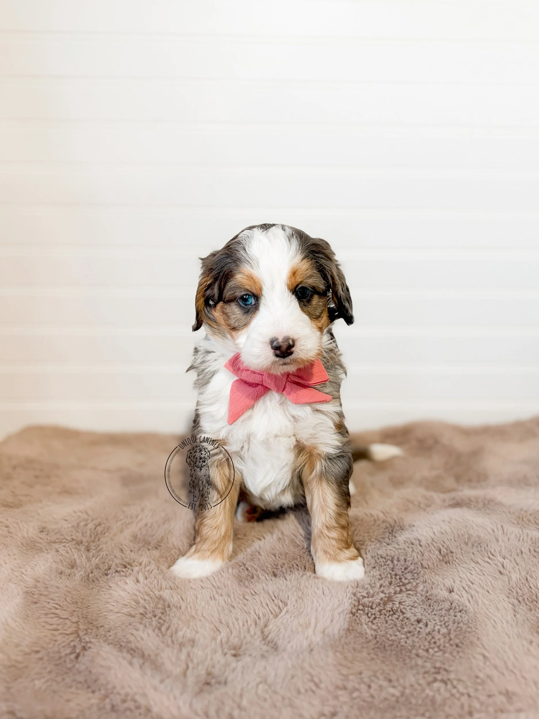 eZy Watermark_12-02-2026_08-38-02-3300AM.jpeg