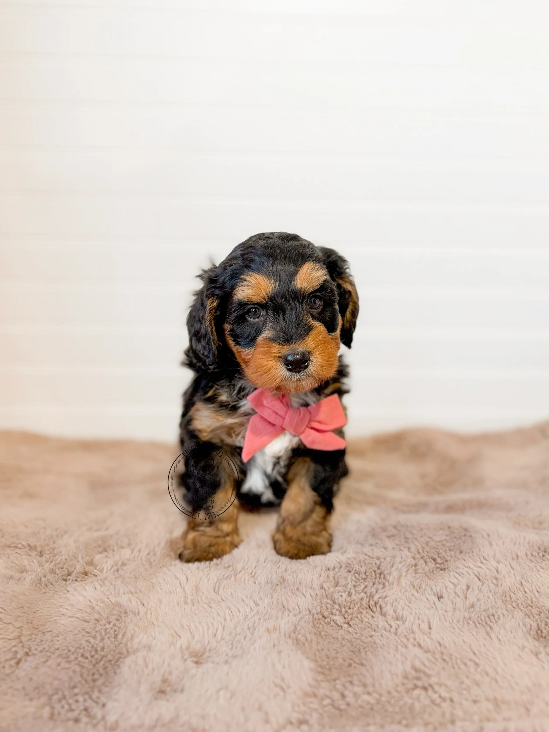 eZy Watermark_12-02-2026_08-38-02-1420AM.jpeg